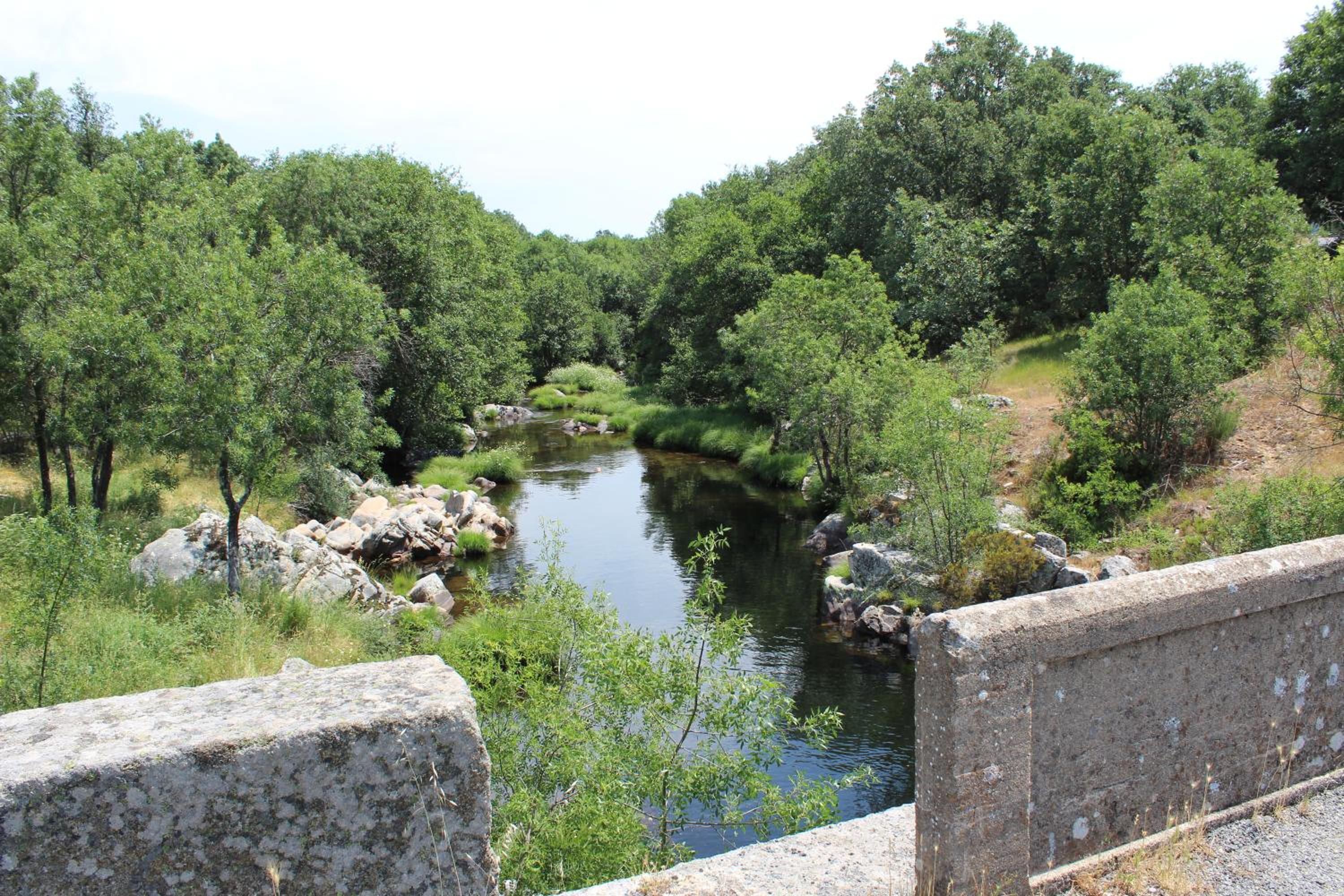 Loboratorio Rural-Cuenta hasta 3