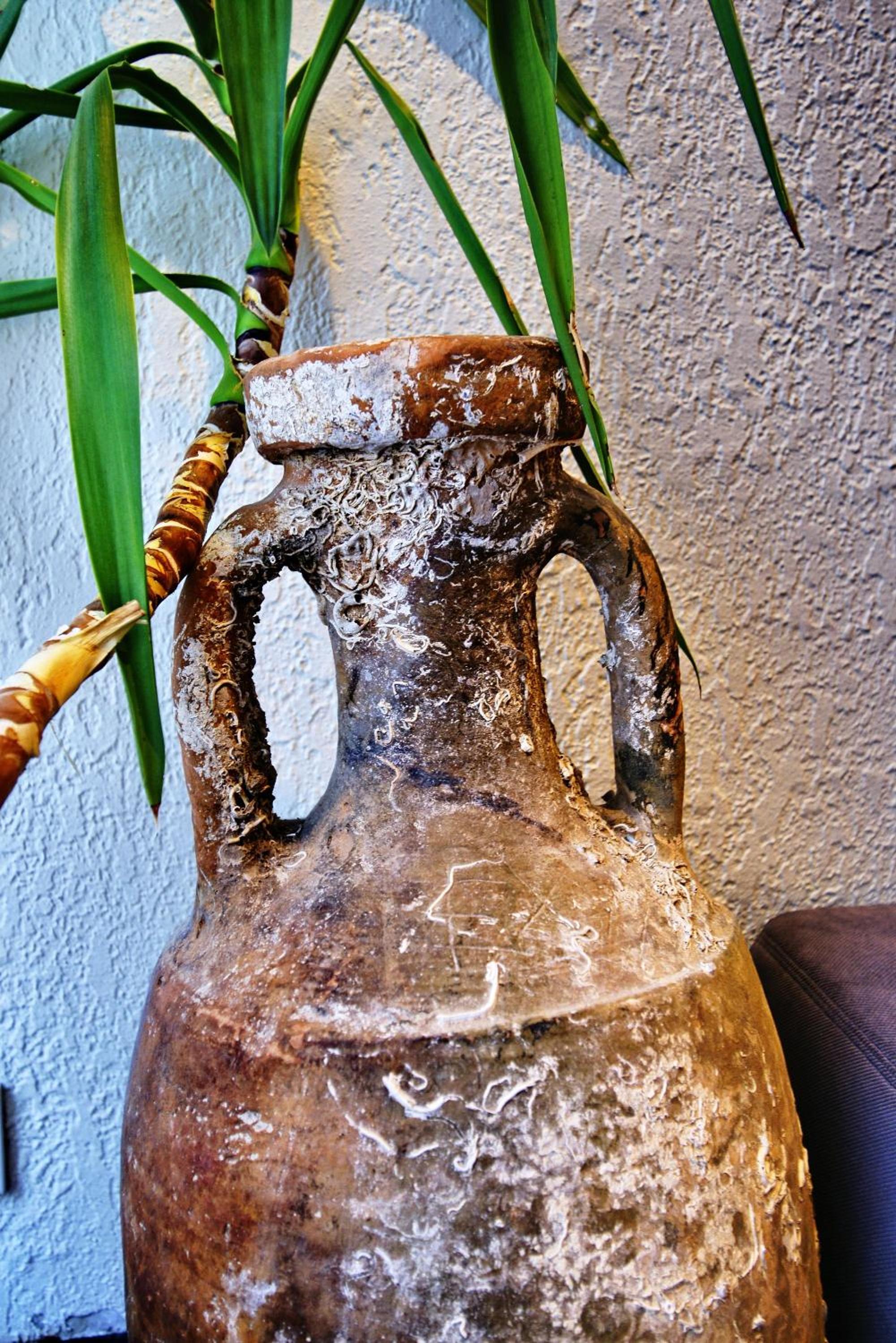 Photo 48