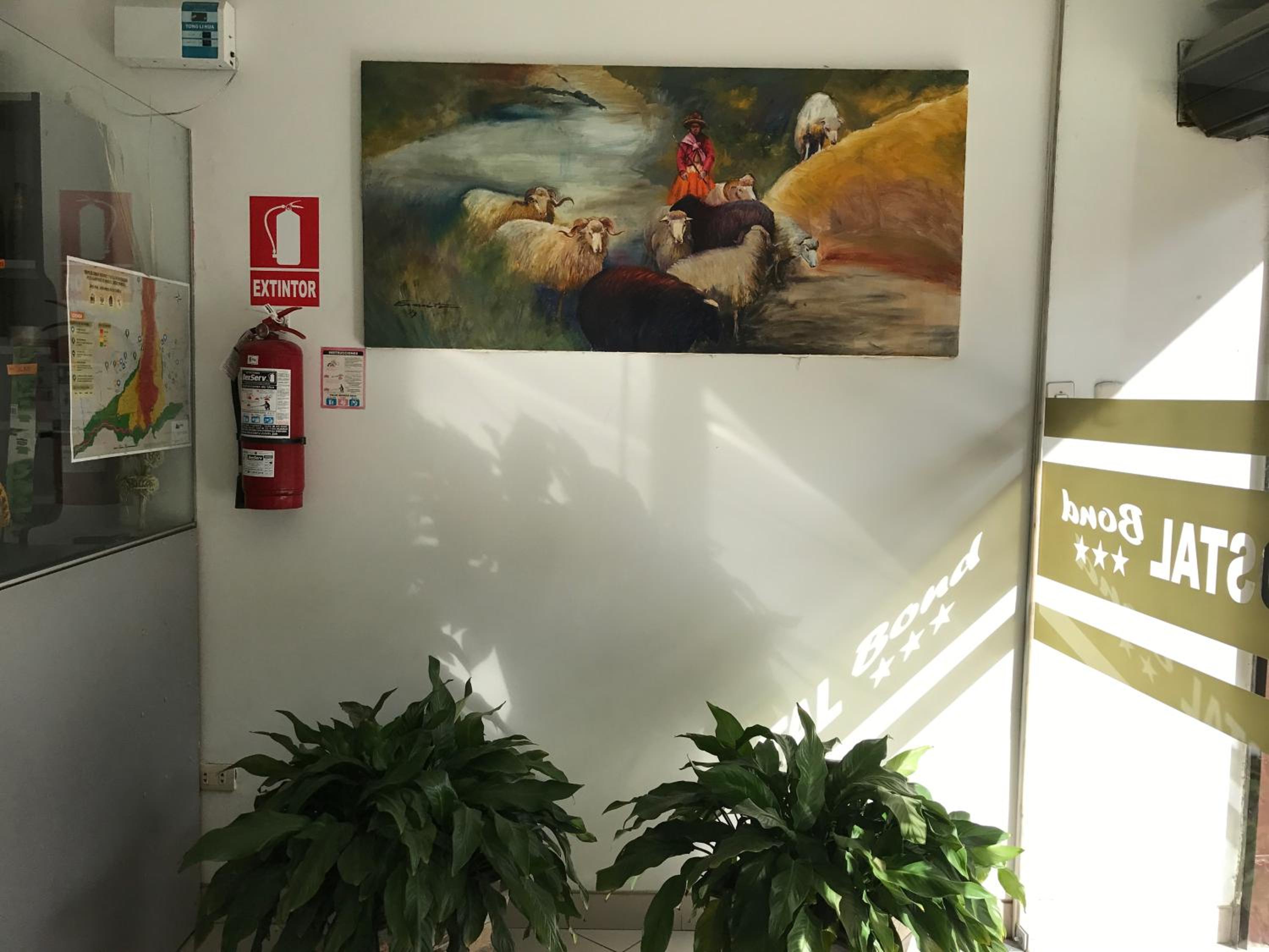 Photo 14