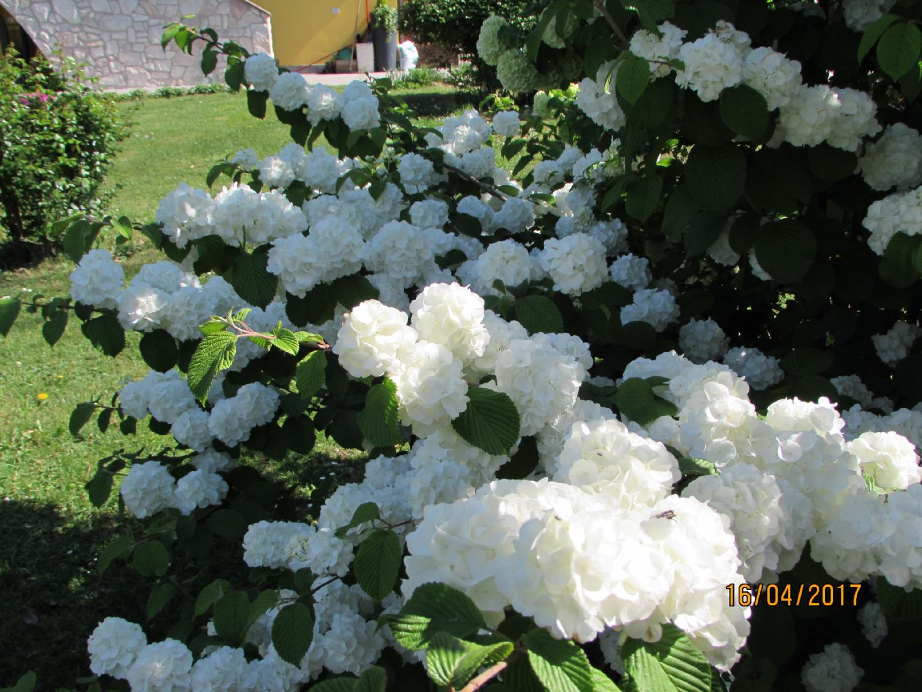 Photo 30