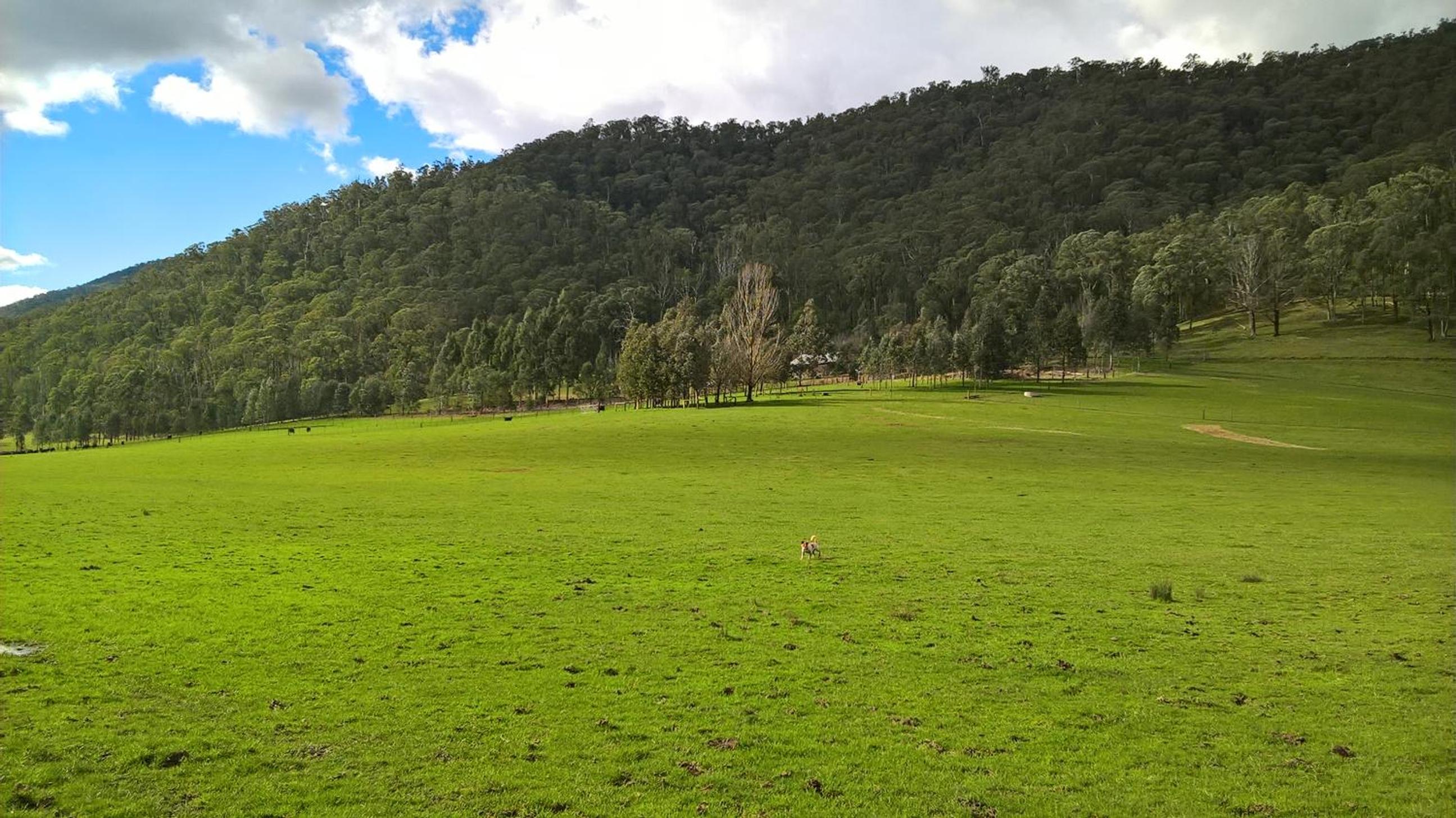 Riverbend Homestead