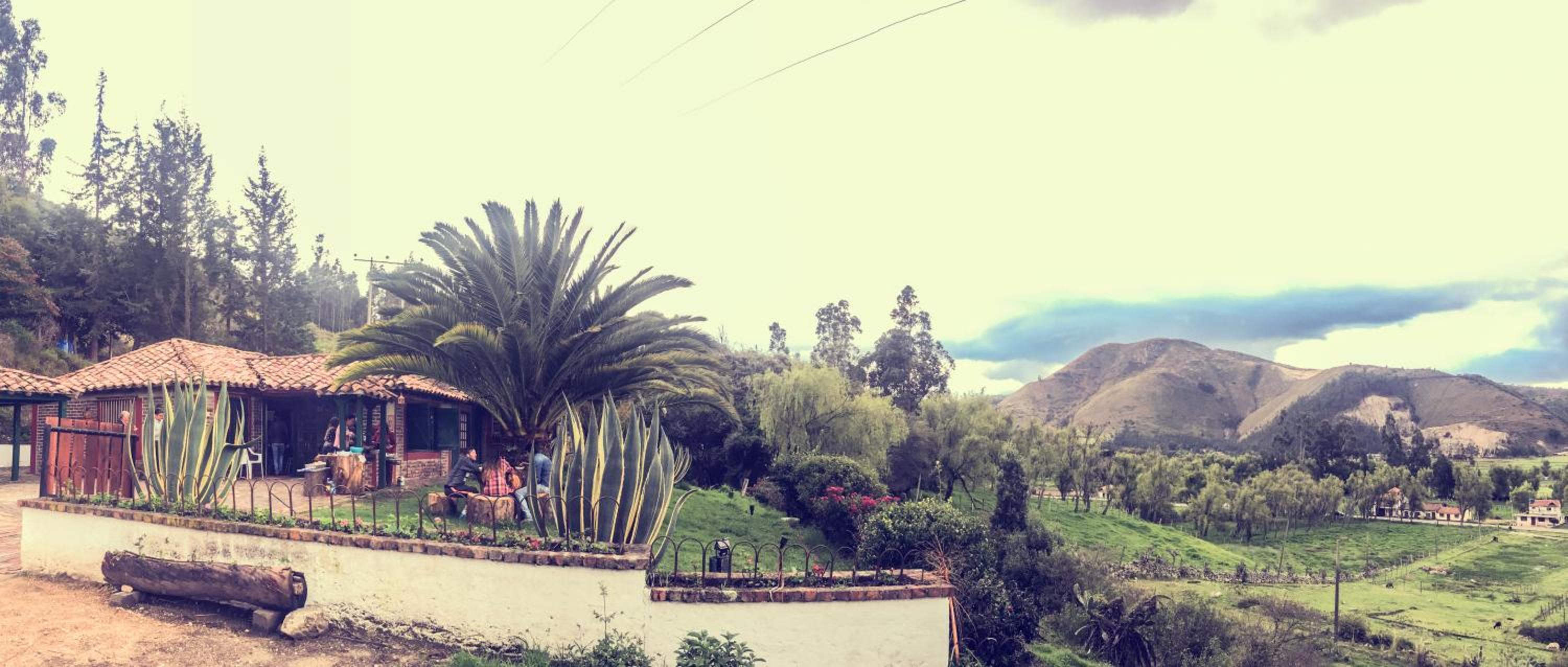 Cabaña NIDO VERDE