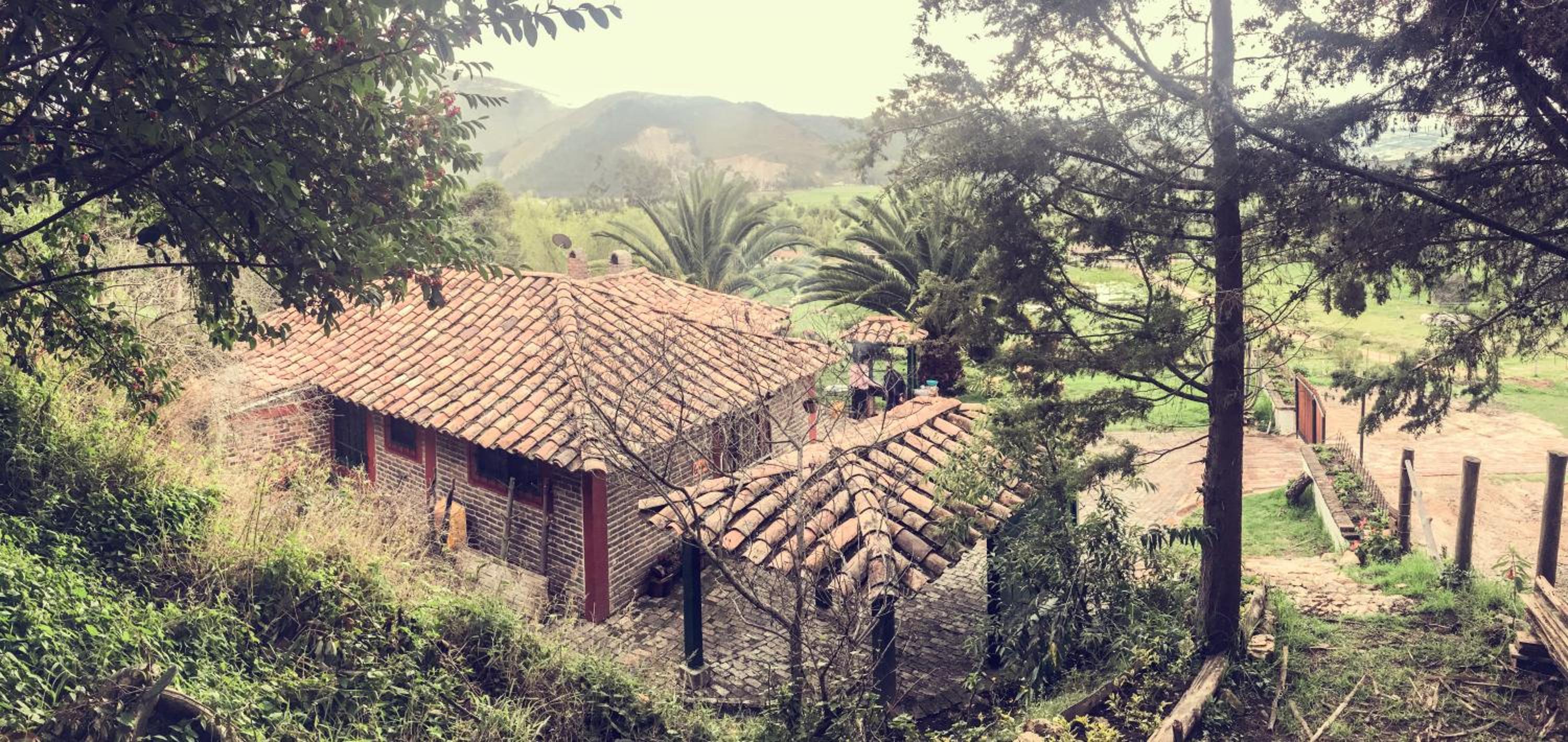 Cabaña NIDO VERDE