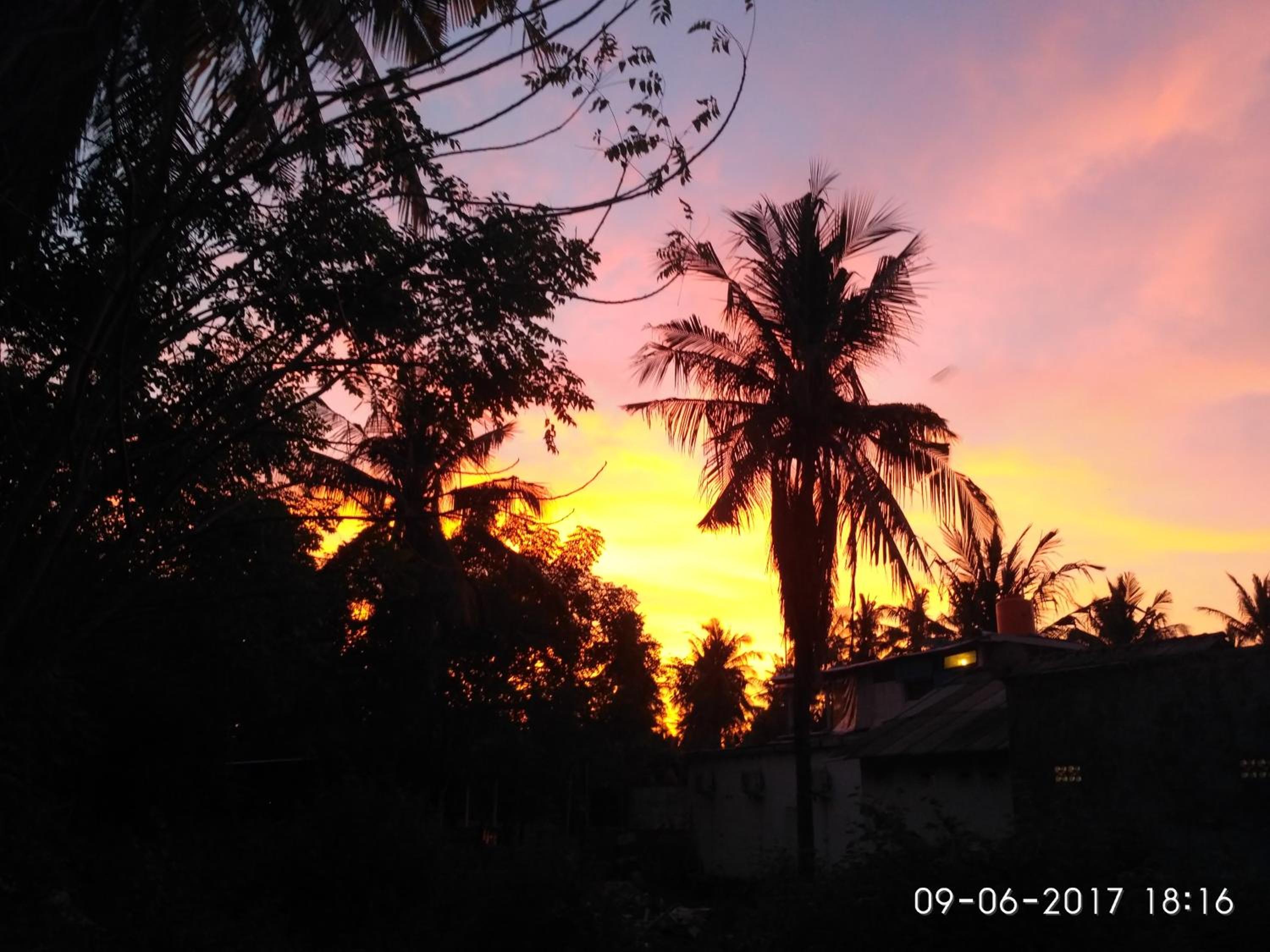 Photo 42
