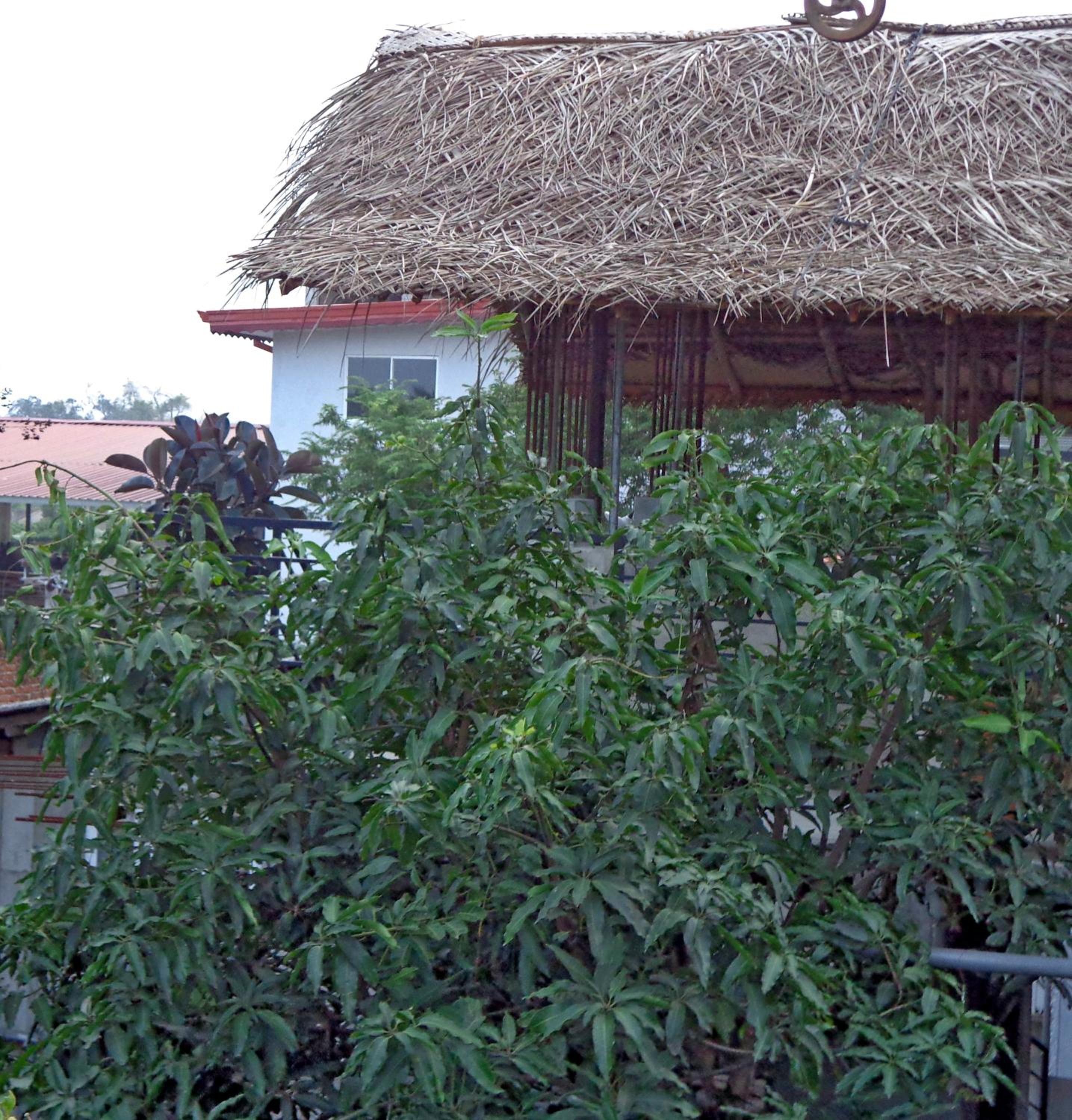 Photo 15