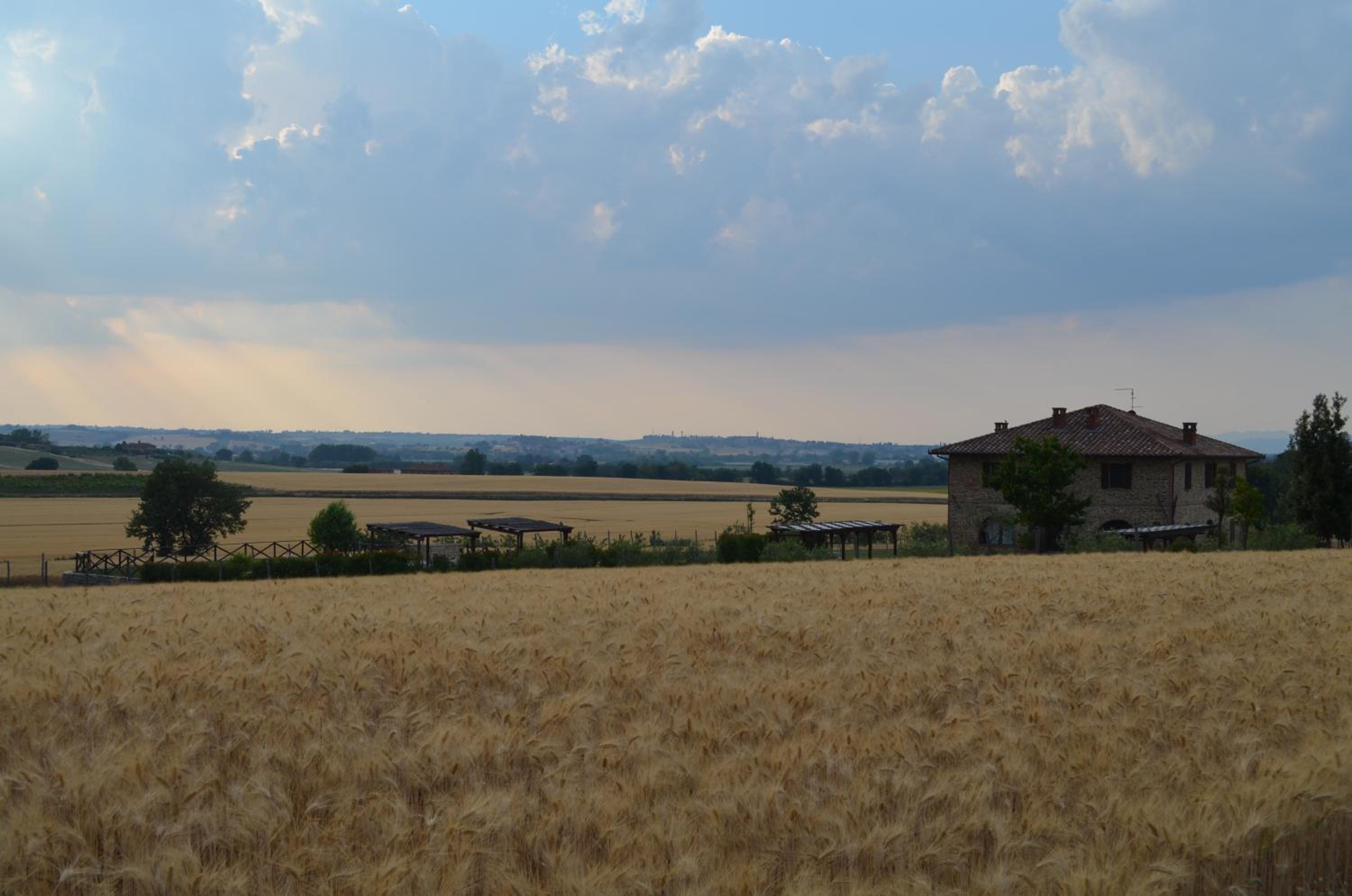 Photo 47
