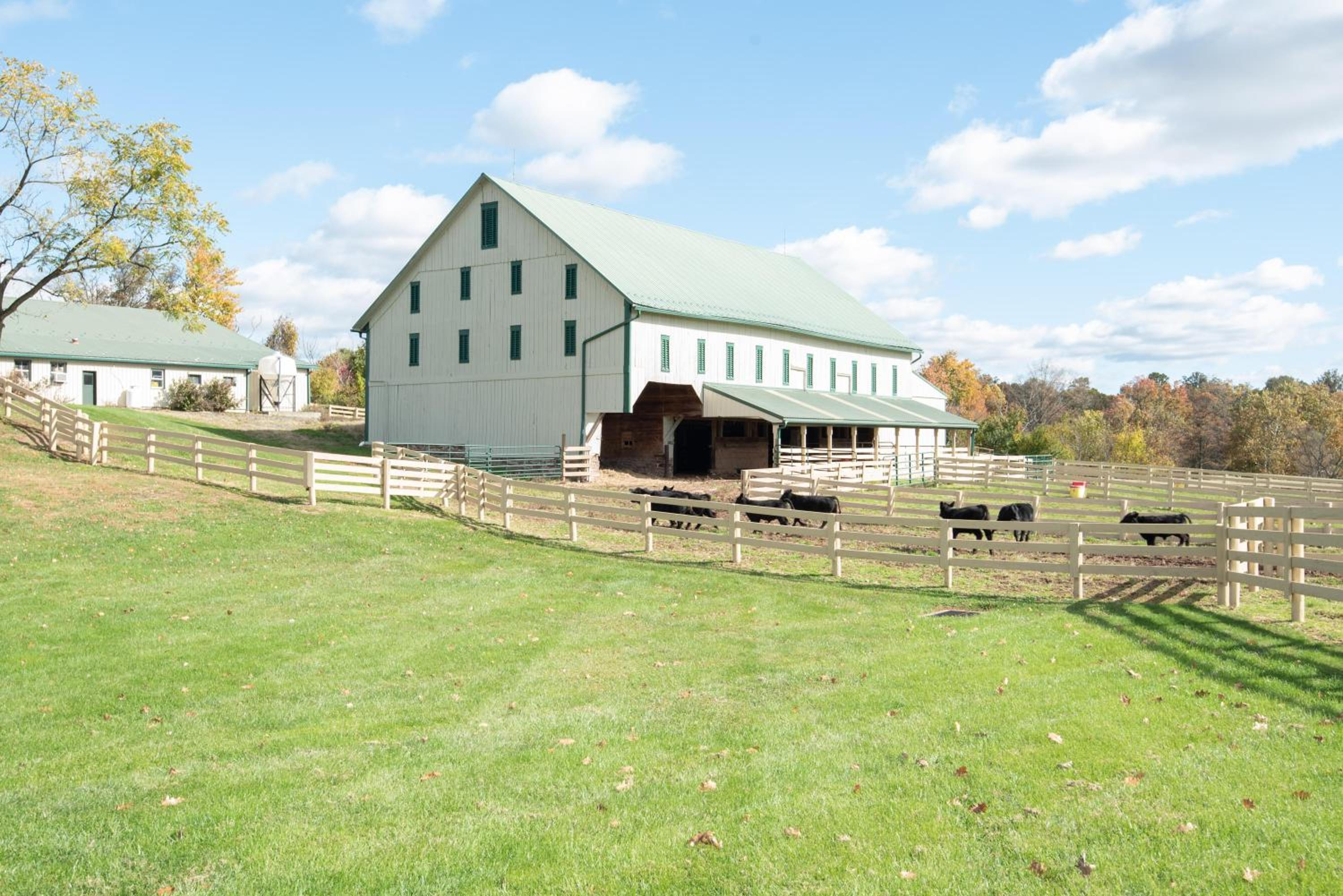 Cozy Cow Homestead with pool!