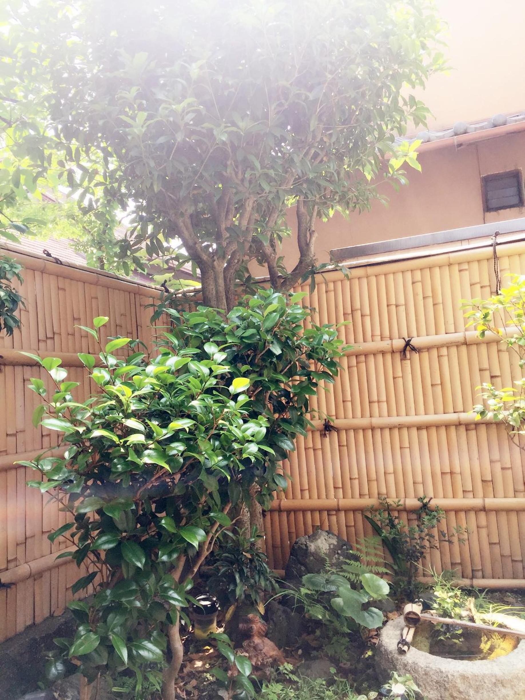 Guesthouse Kyoto Kaikonoyashiro view 4