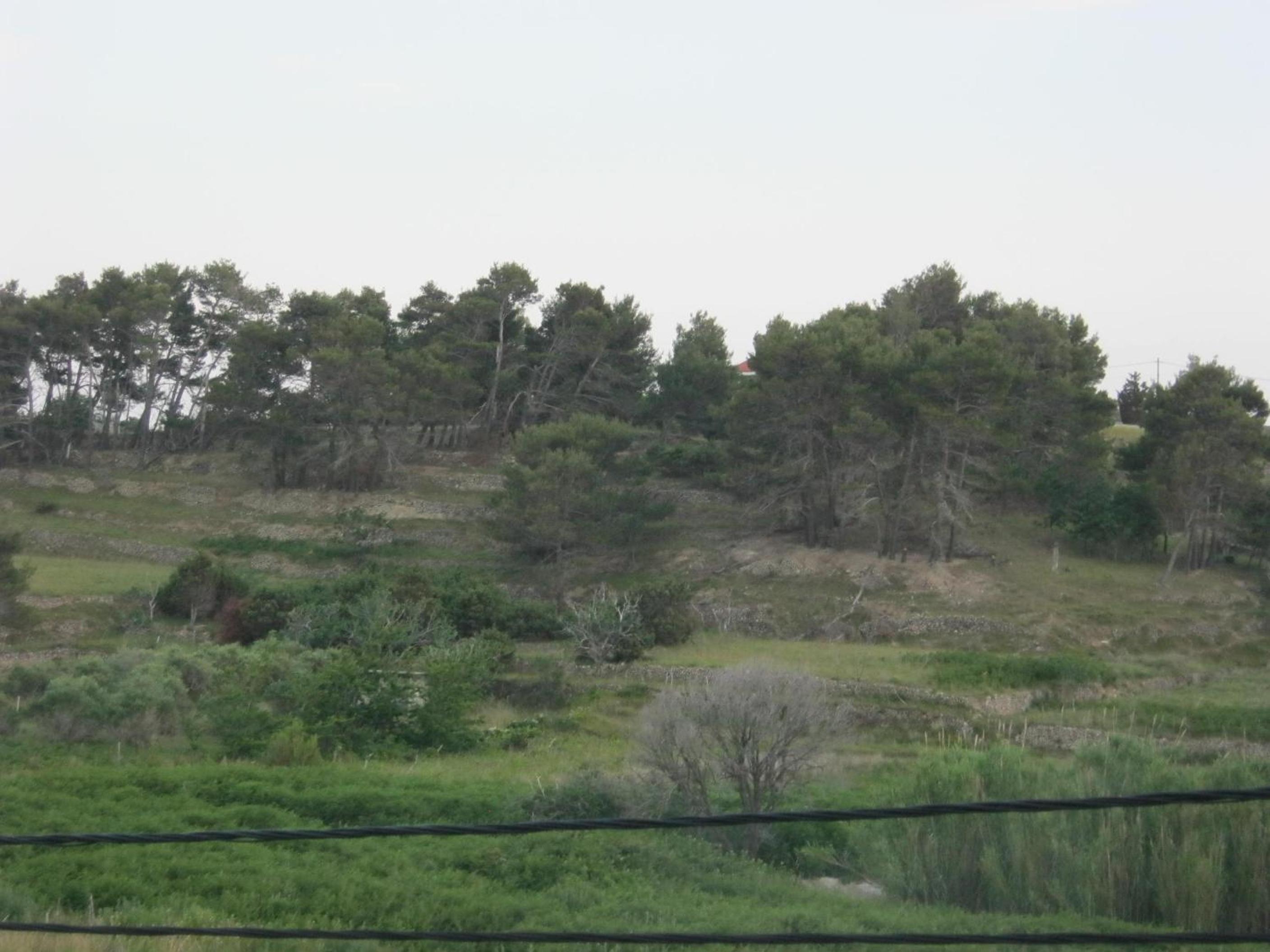Photo 37