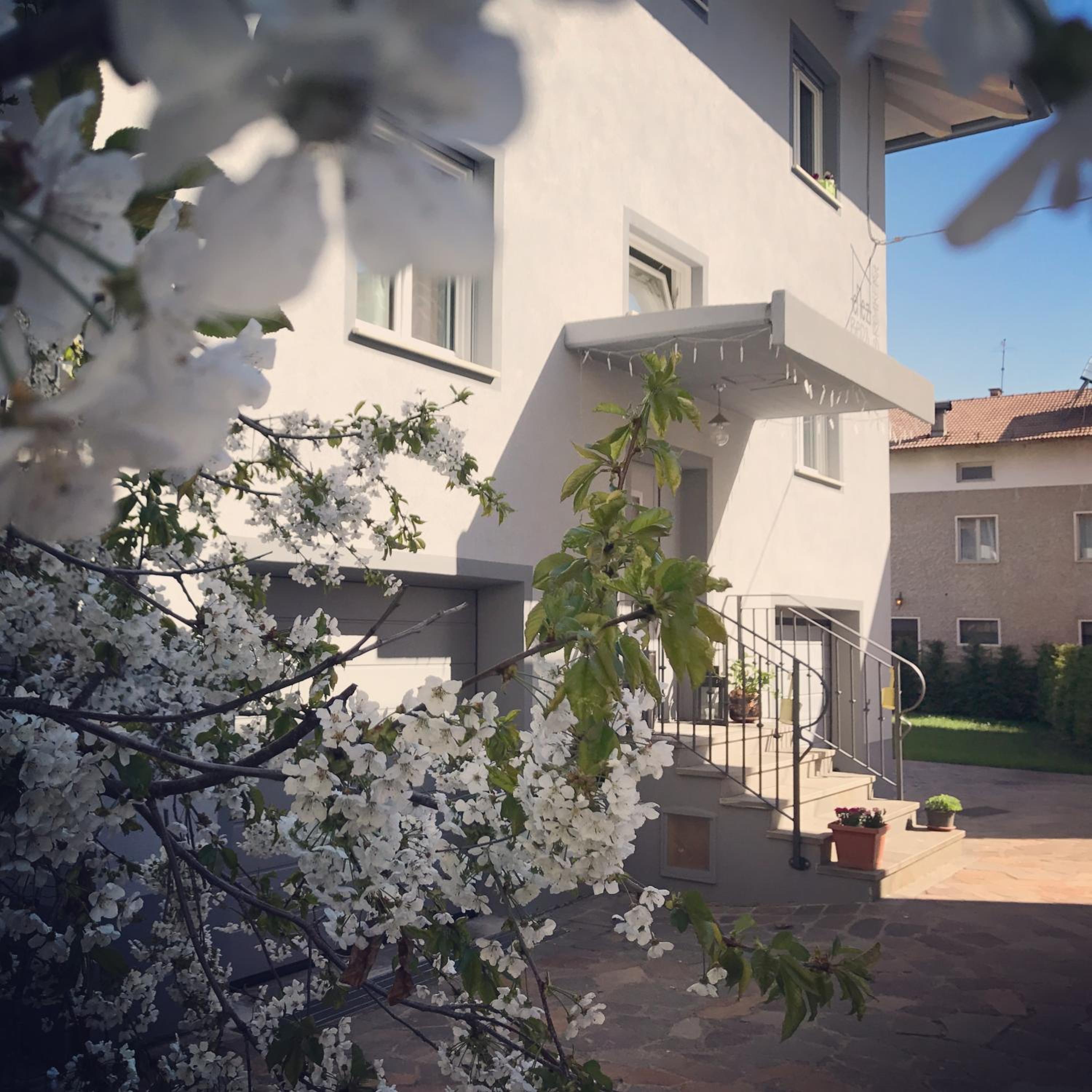 Nenez B&B, photo 15