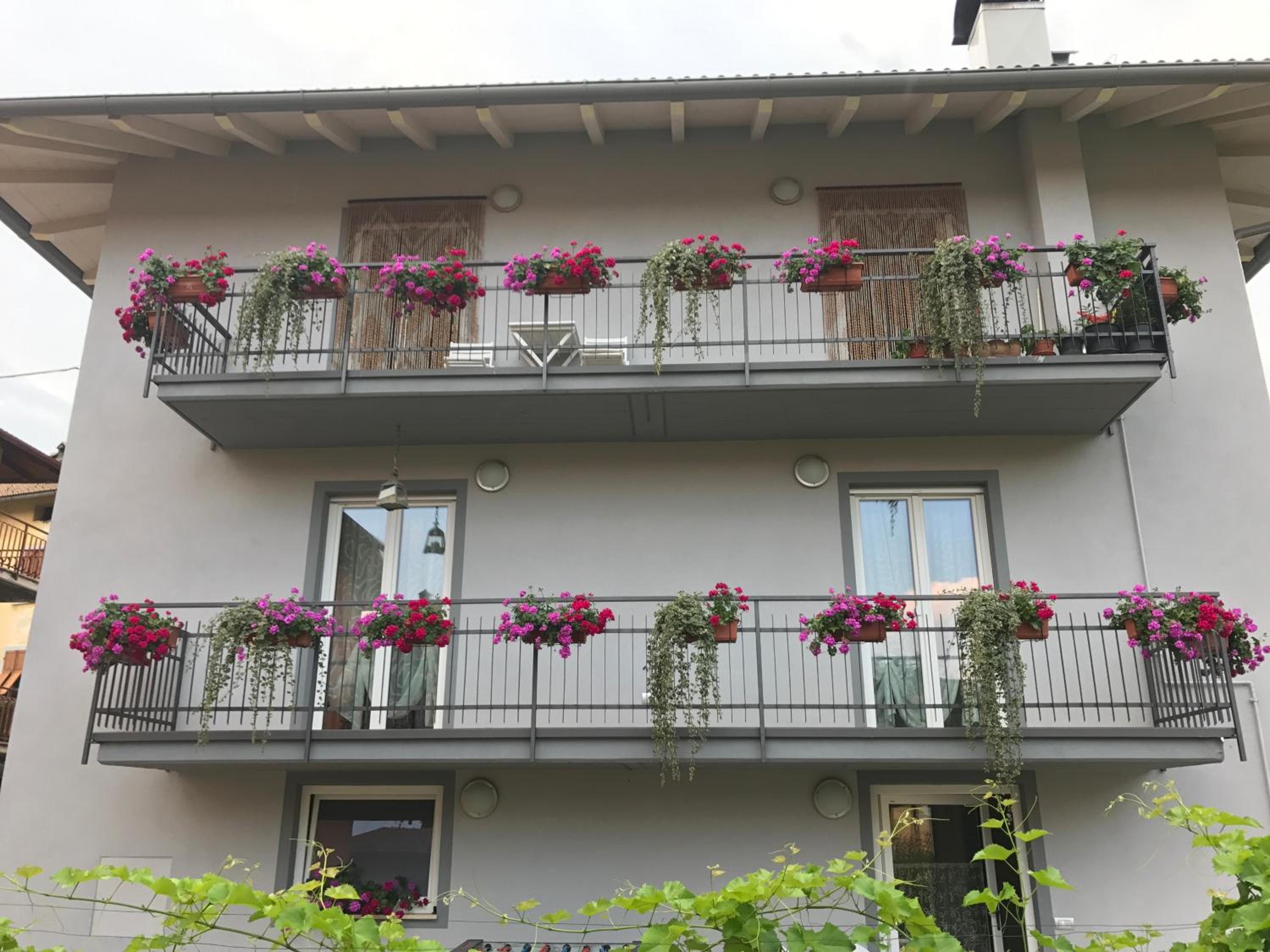 Nenez B&B