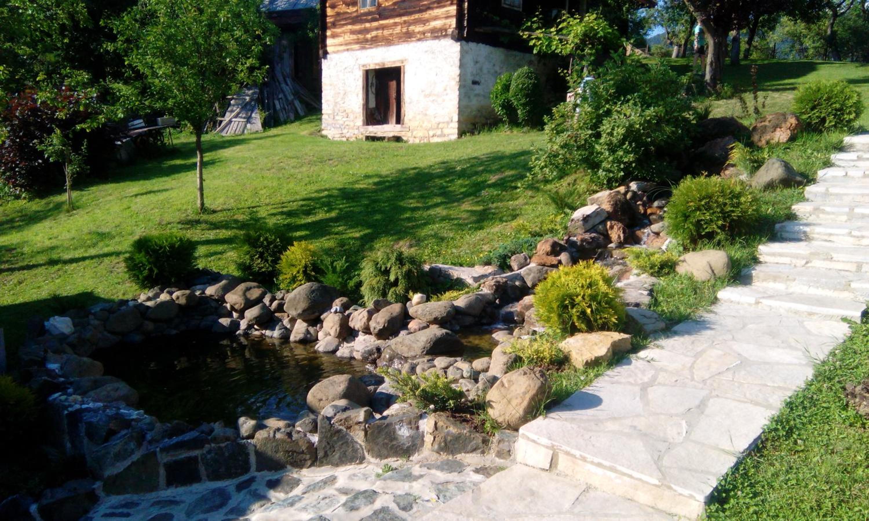 Photo 19