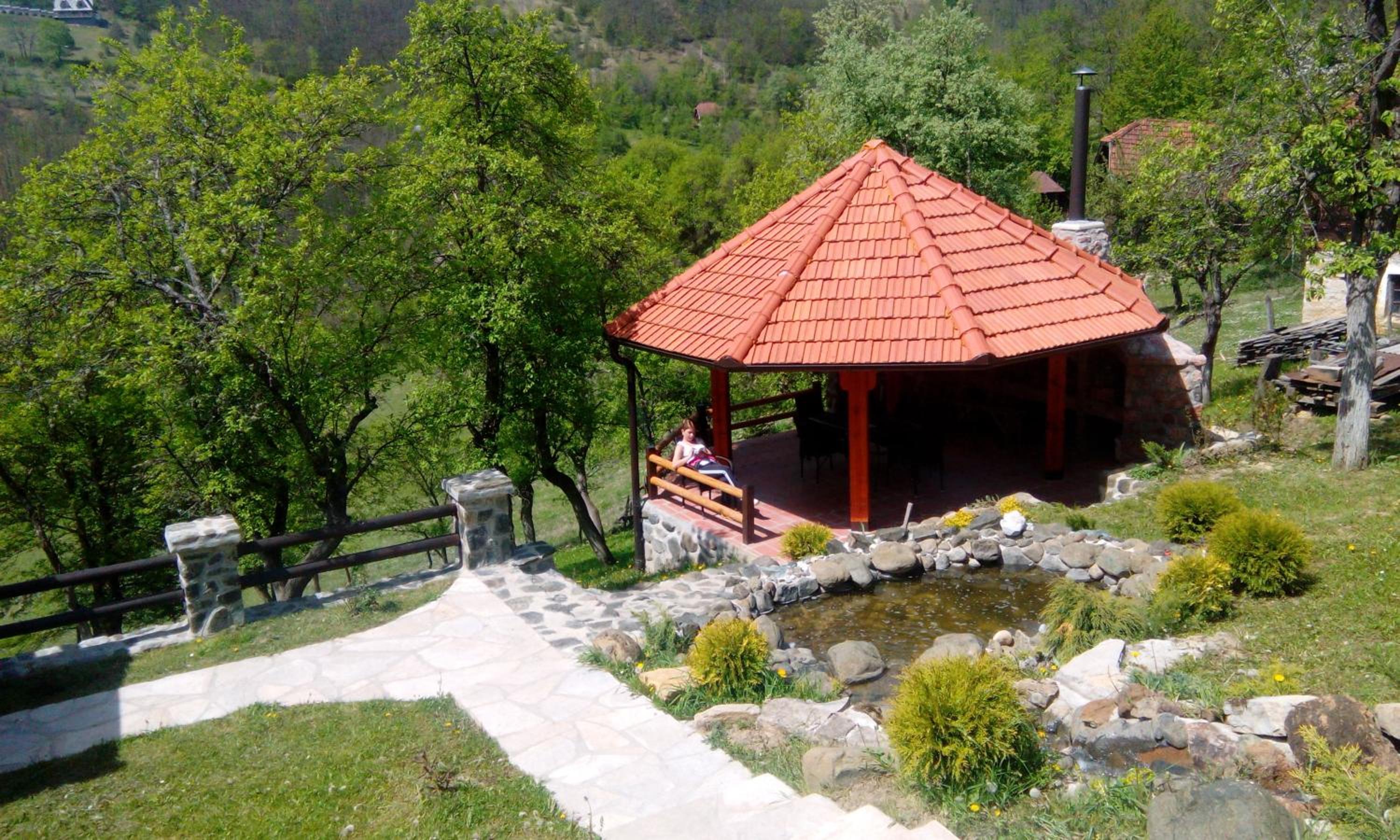 Photo 12