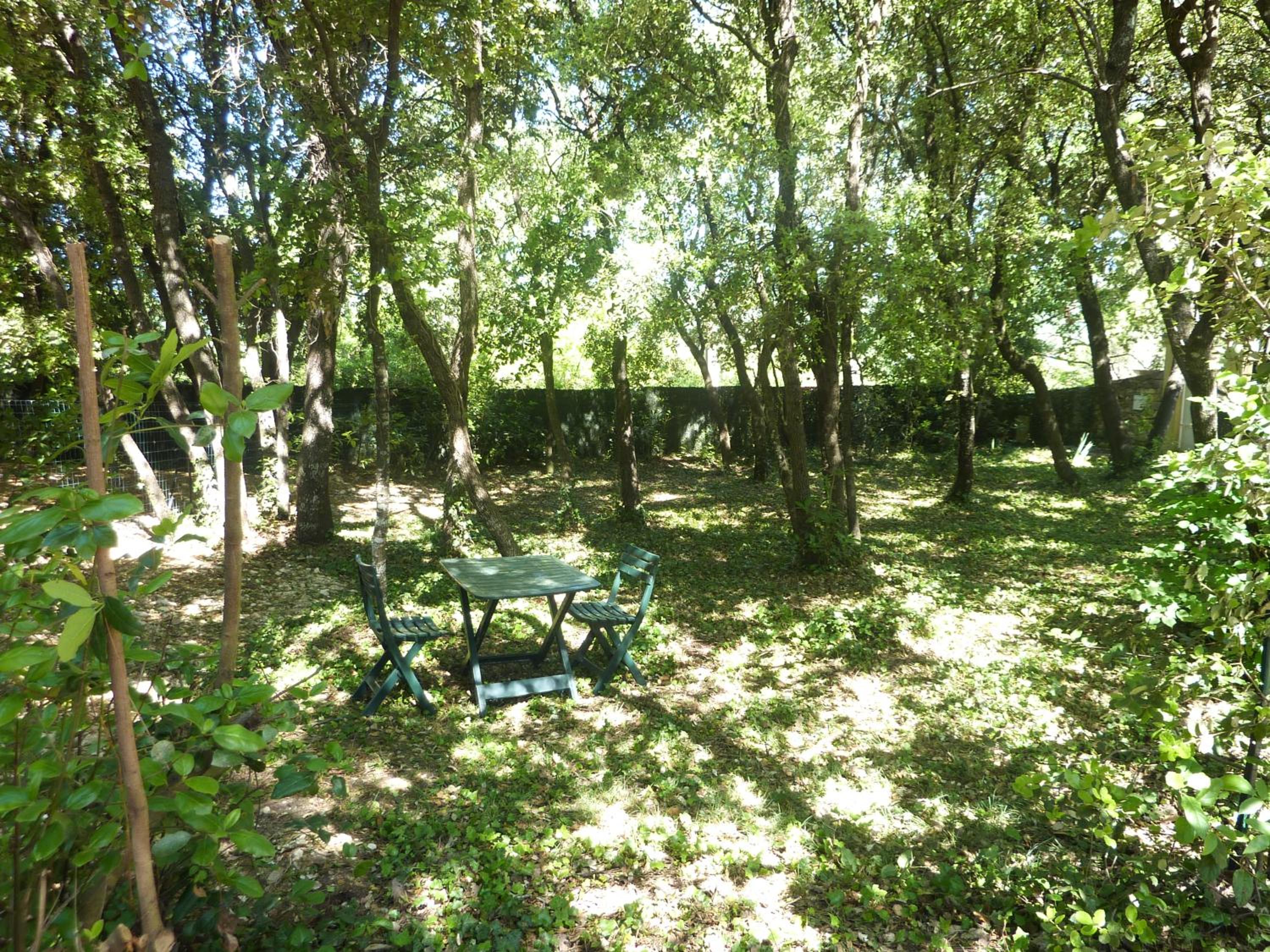 Photo 32