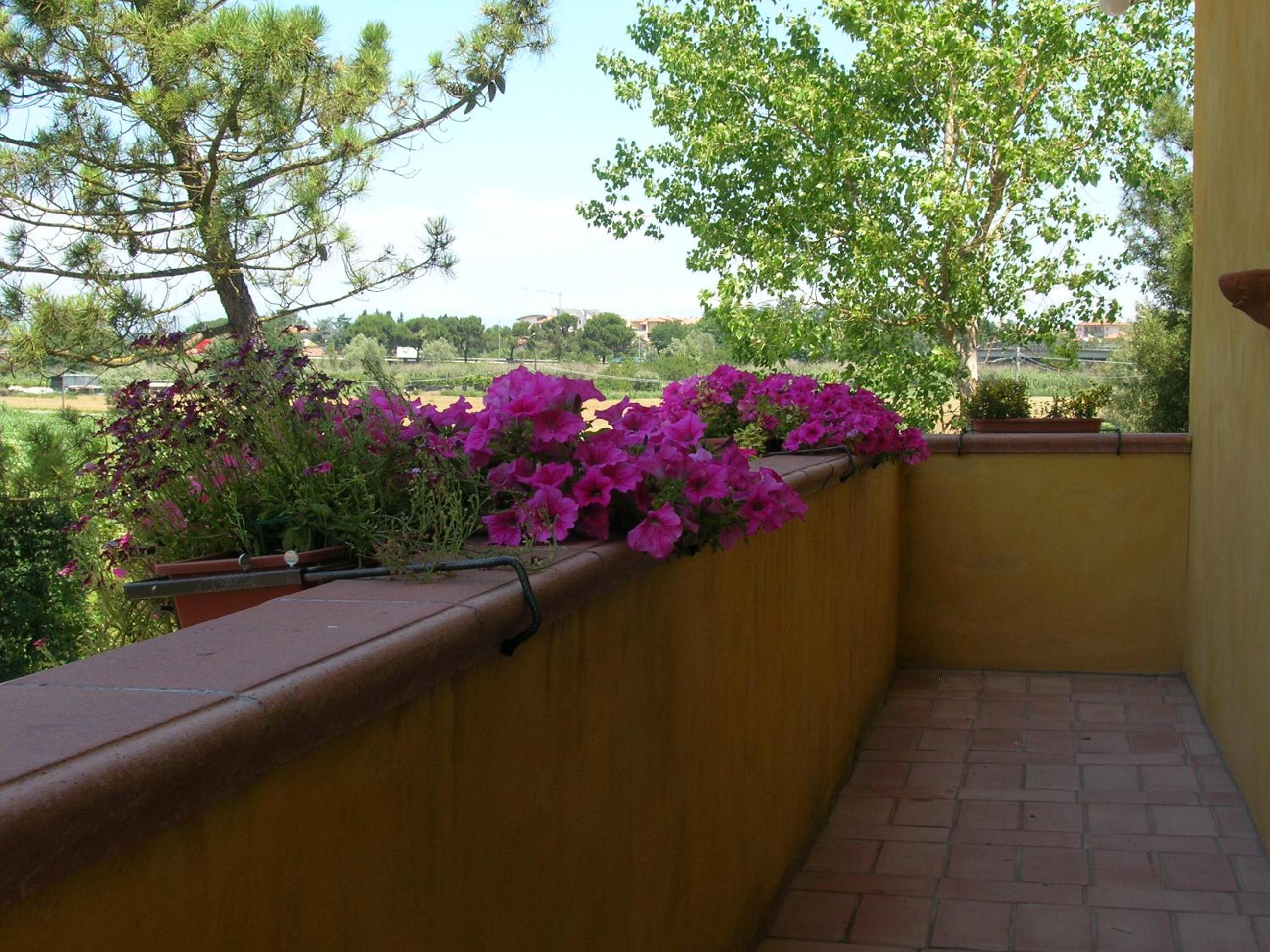 B&B Il Moscondoro