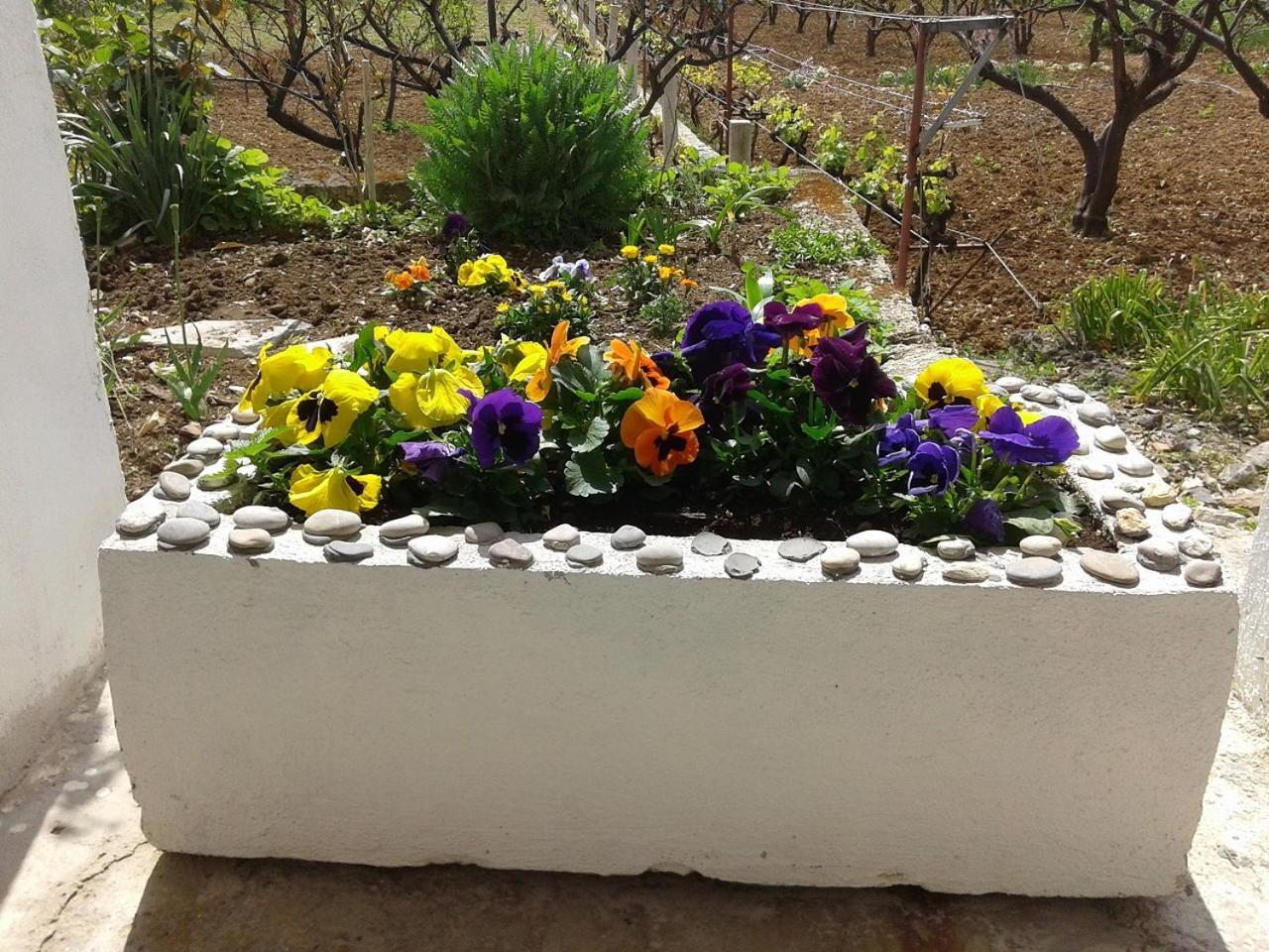 Photo 18