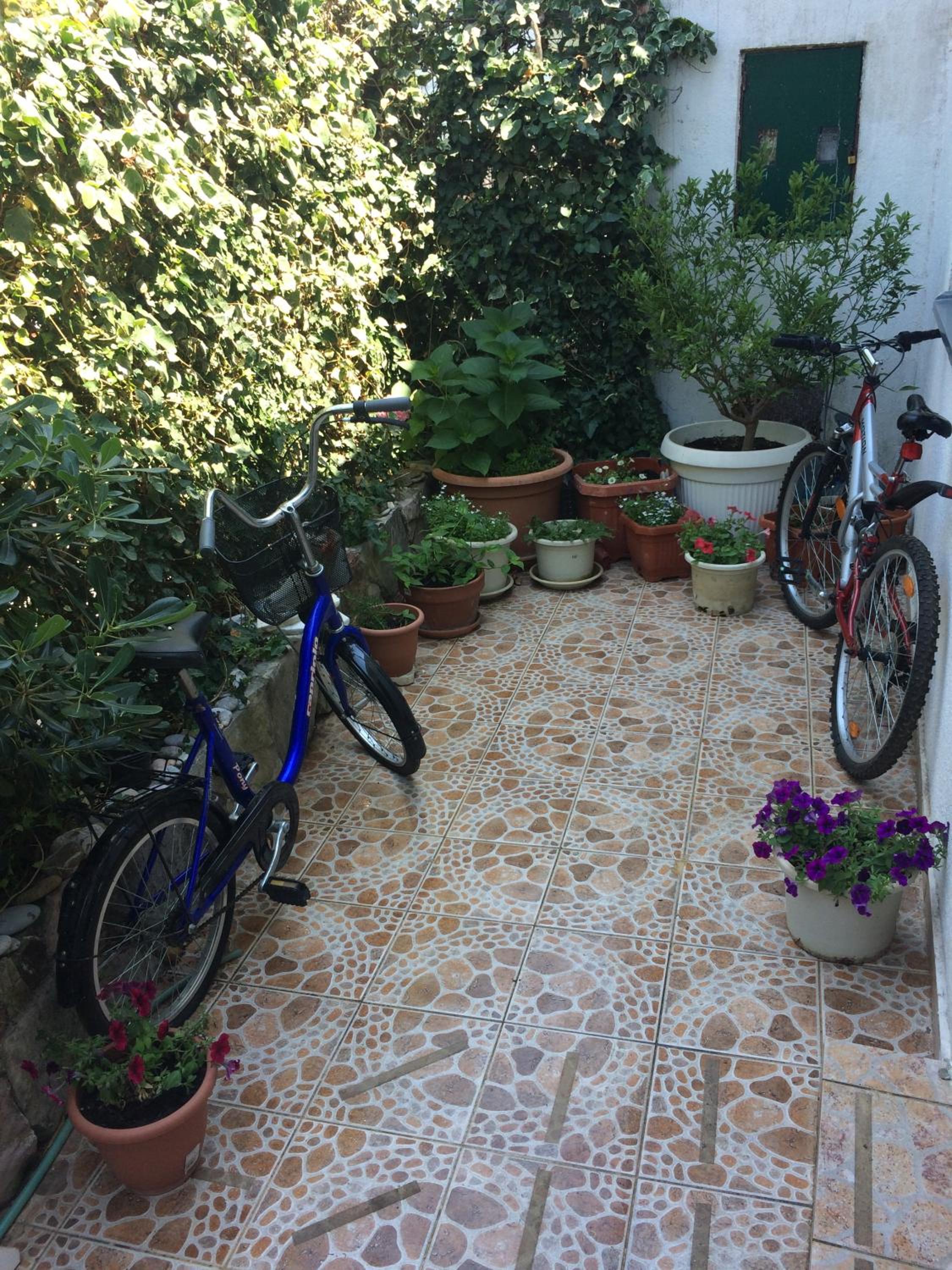 Photo 49