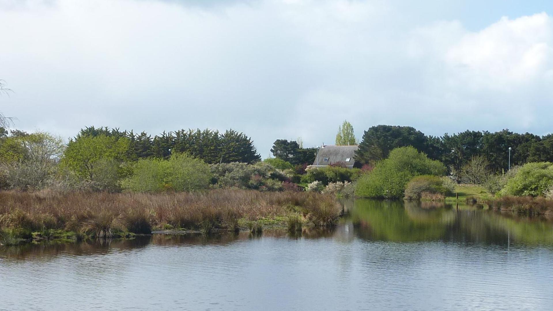 Photo 44