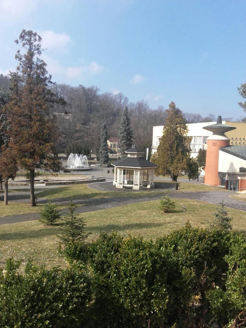 Photo 46