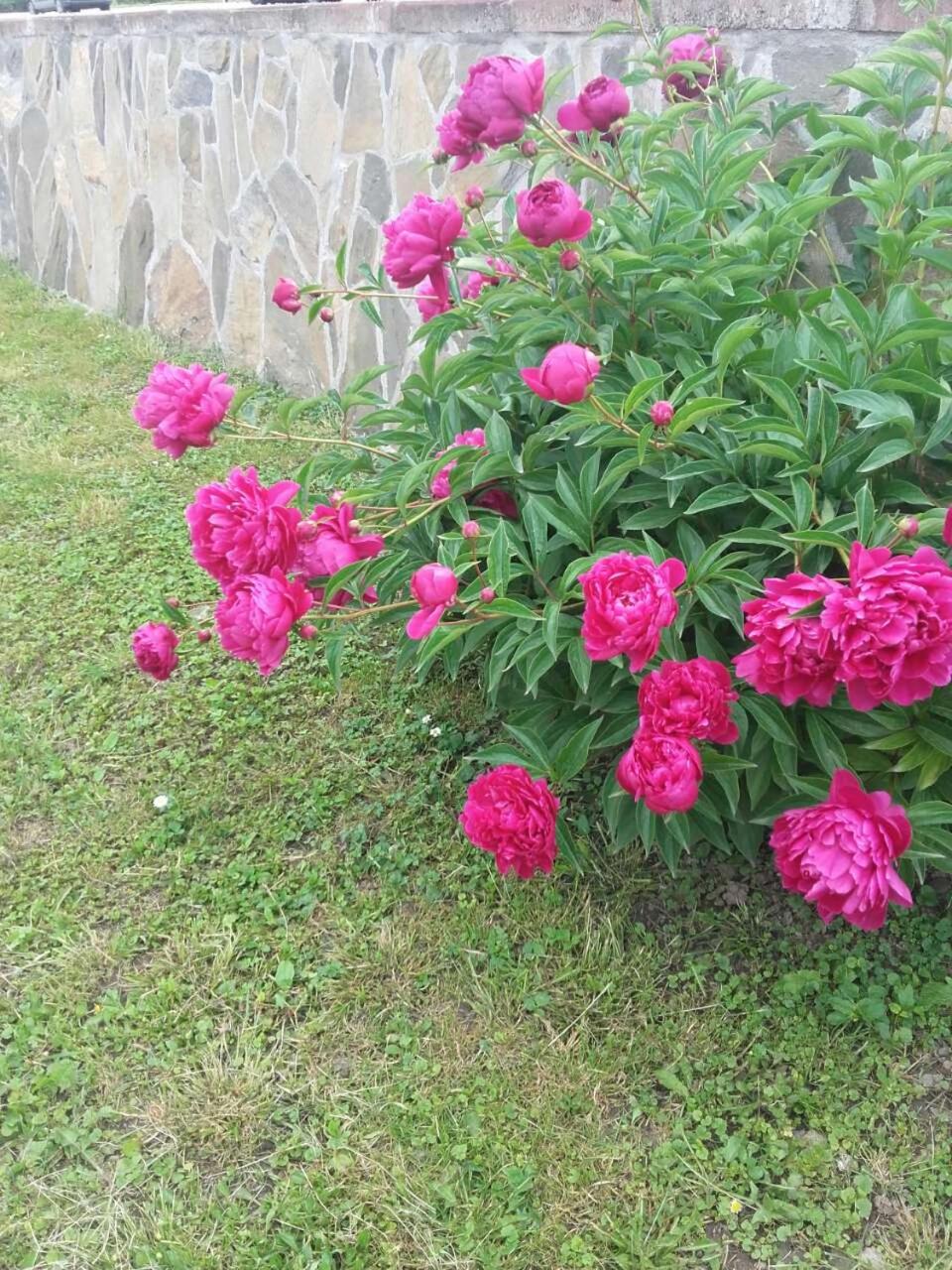 Photo 49