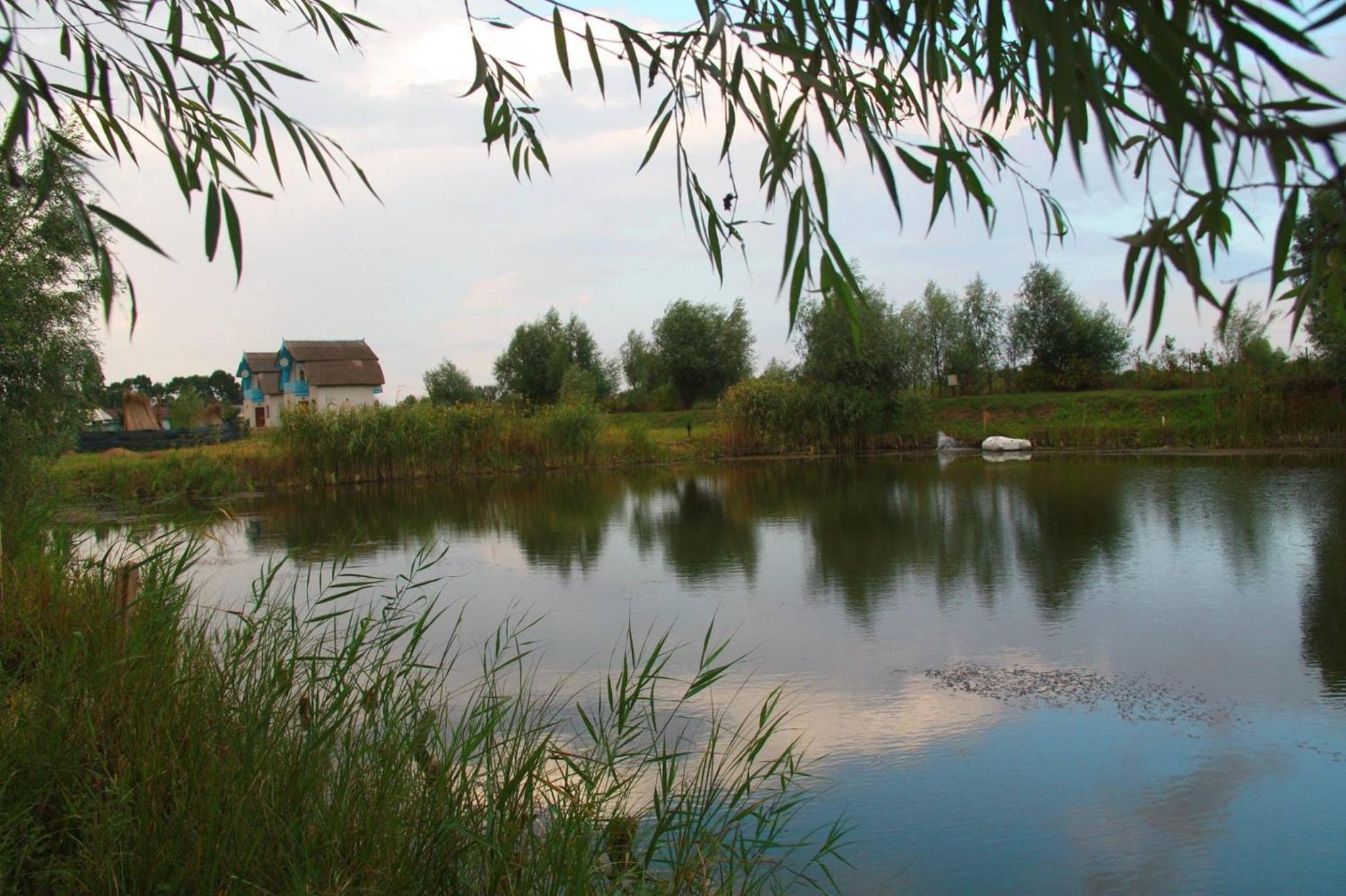 Vulturul Pescar