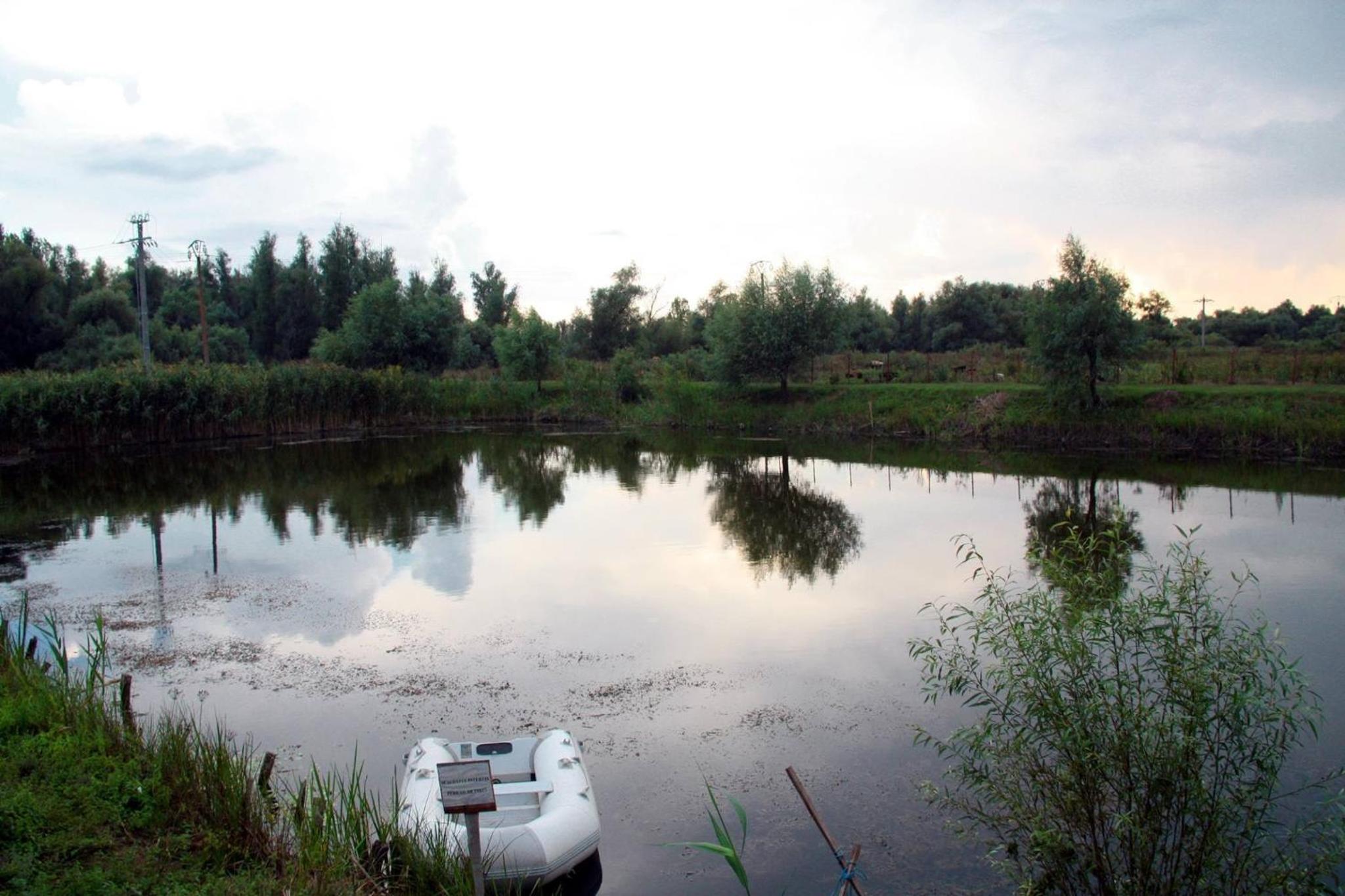 Vulturul Pescar