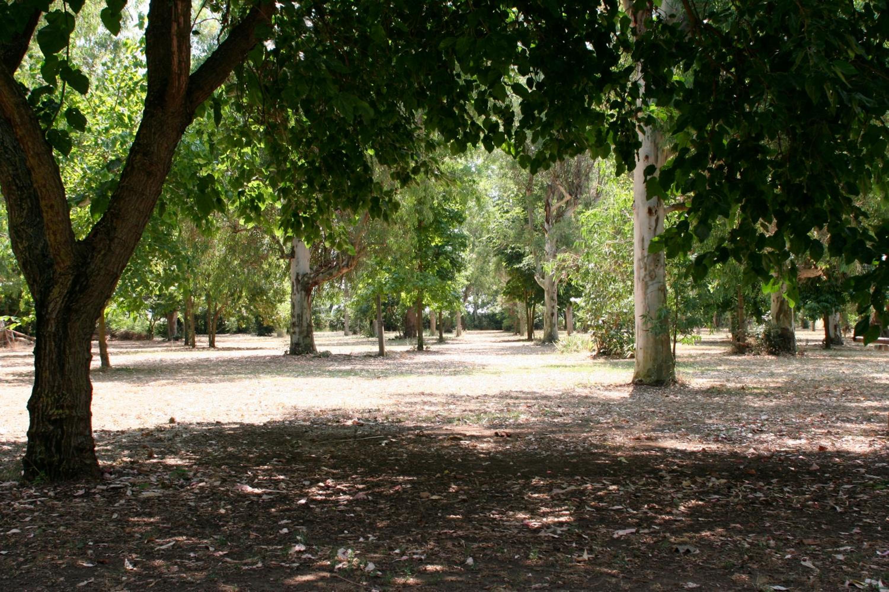 Photo 45