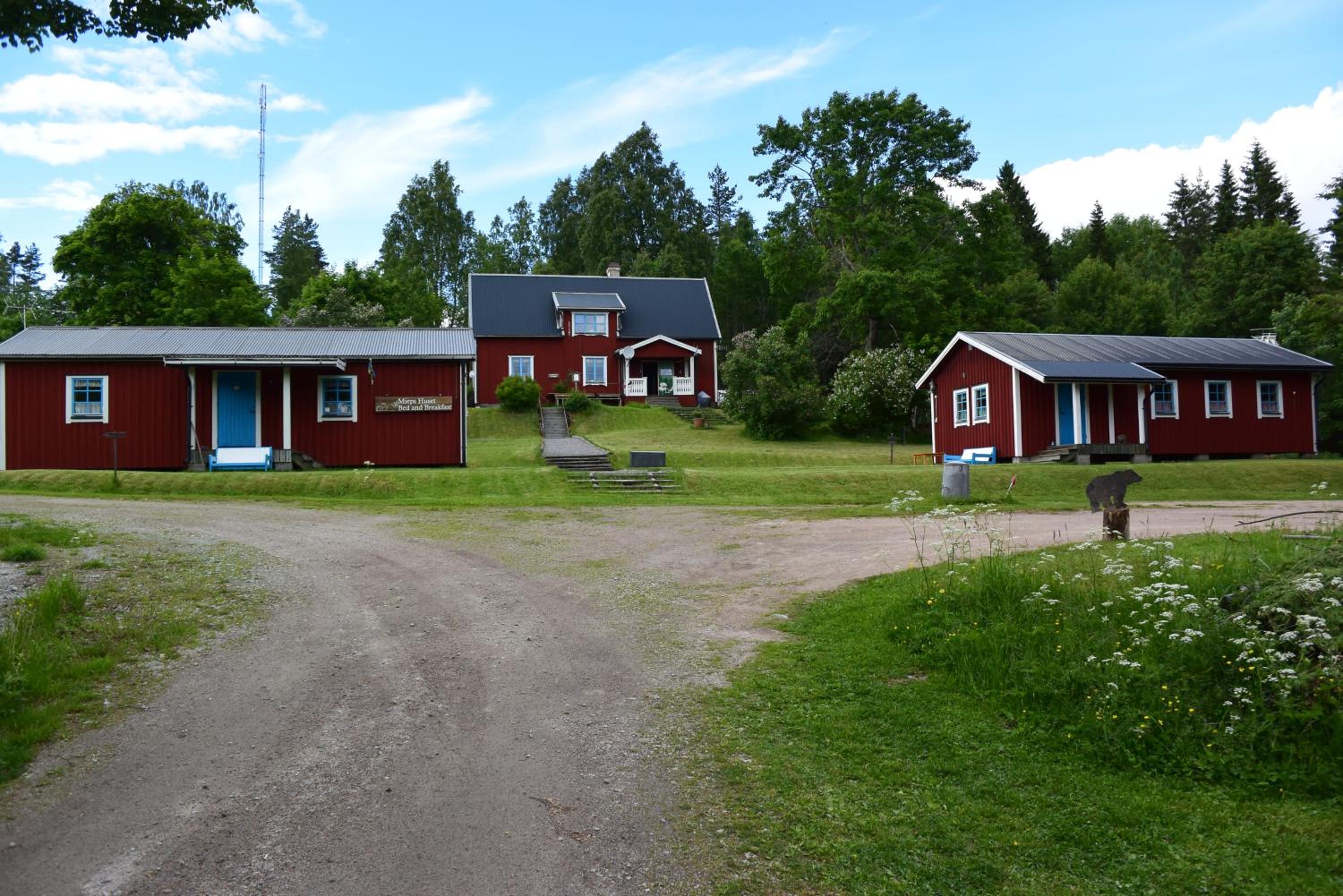 Photo 43