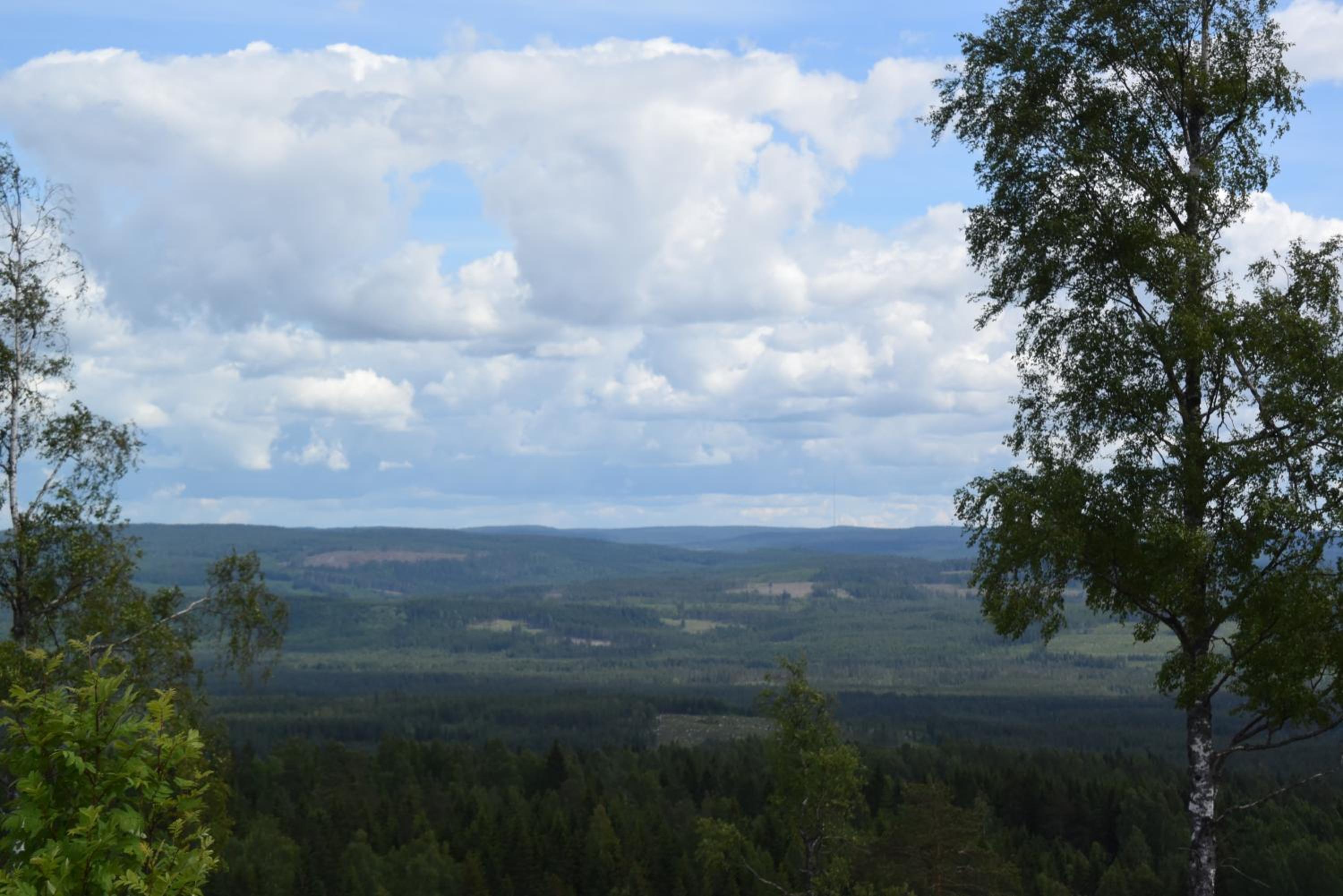 Photo 33