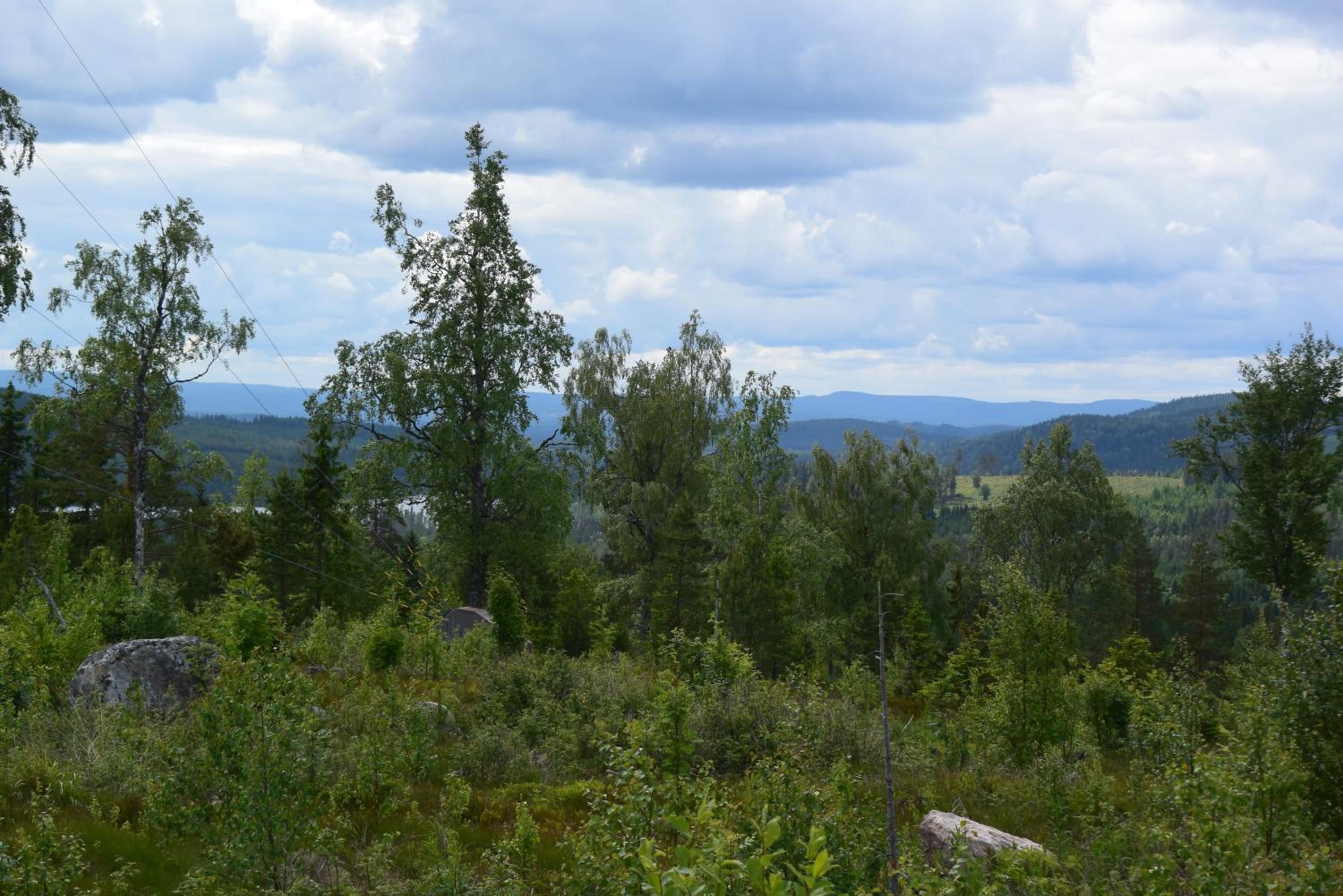 Photo 29