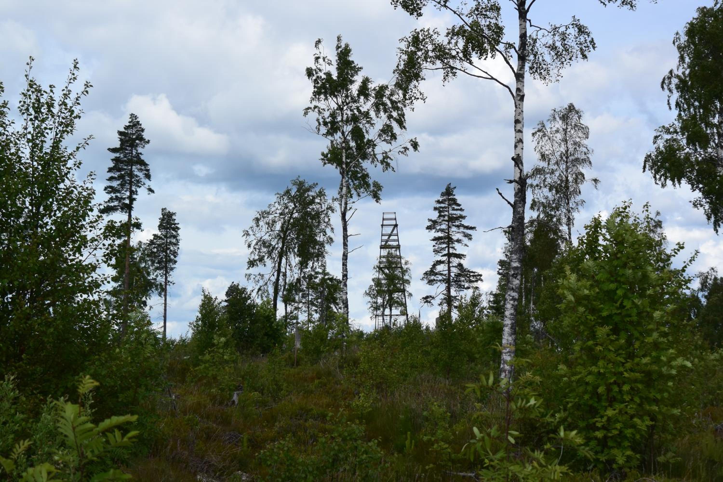 Photo 30