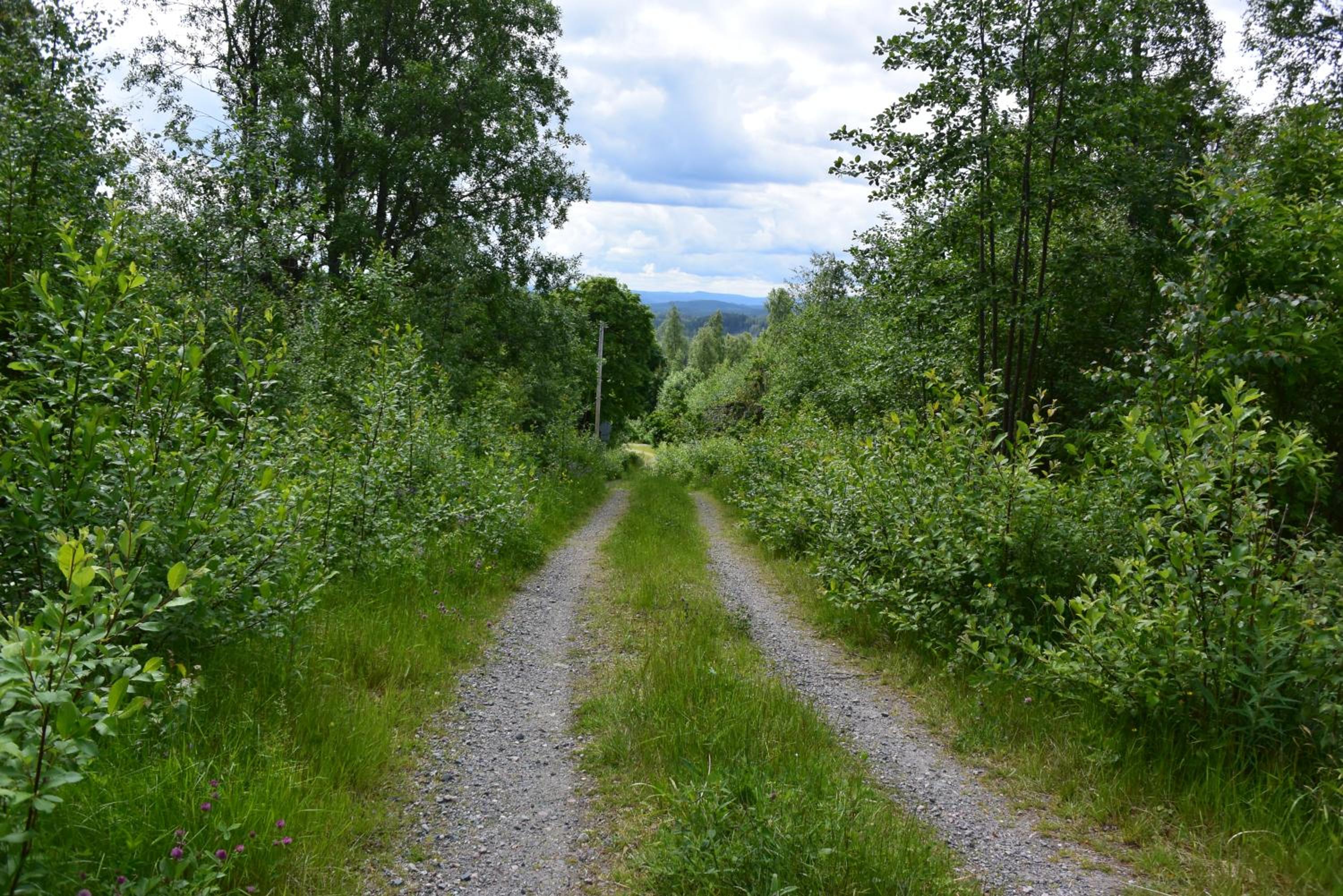 Photo 28