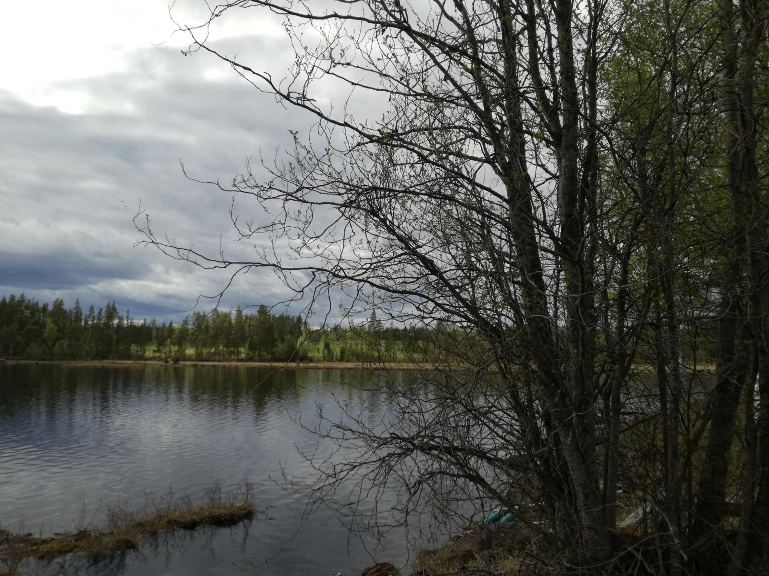 Photo 26