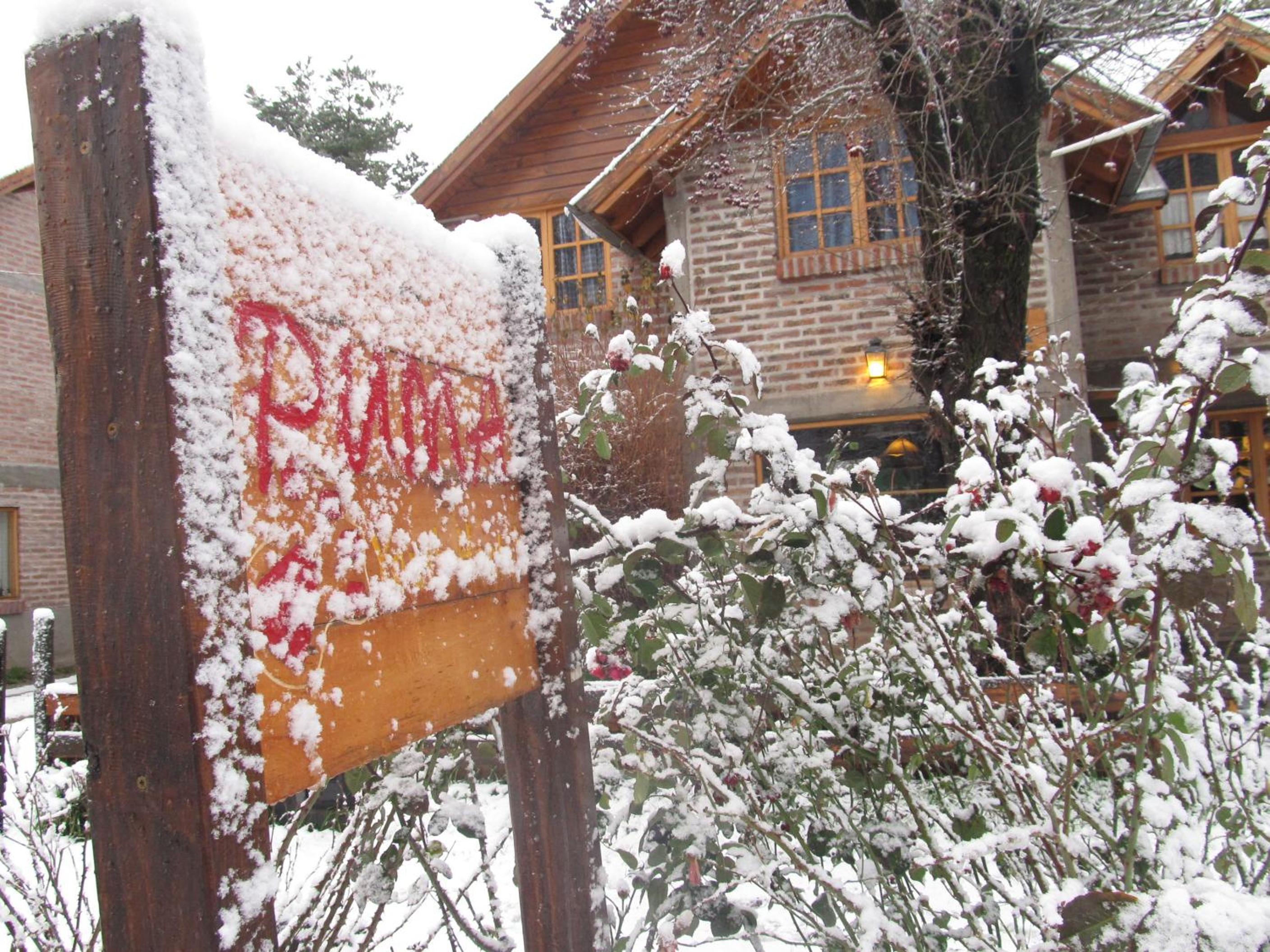 Puma Hostel