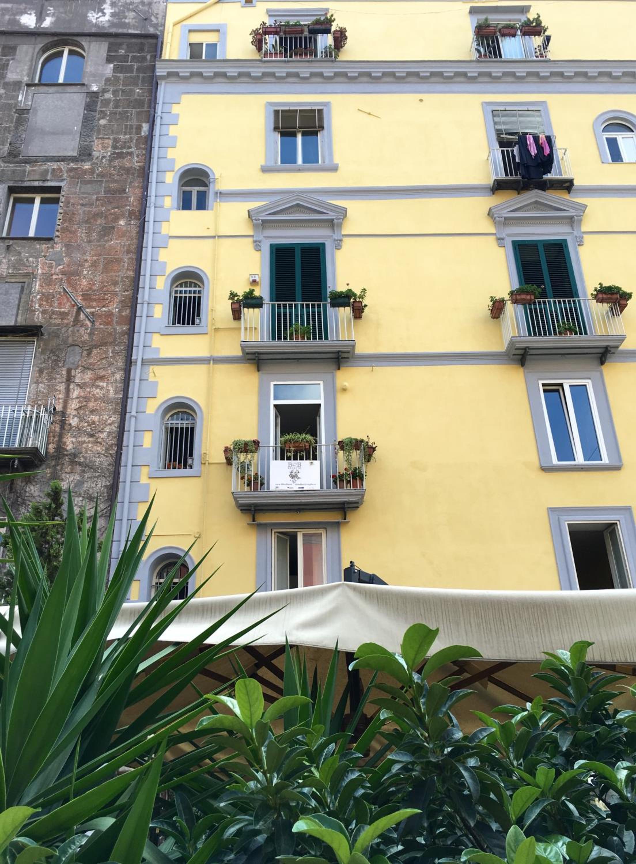 B&B Bellini