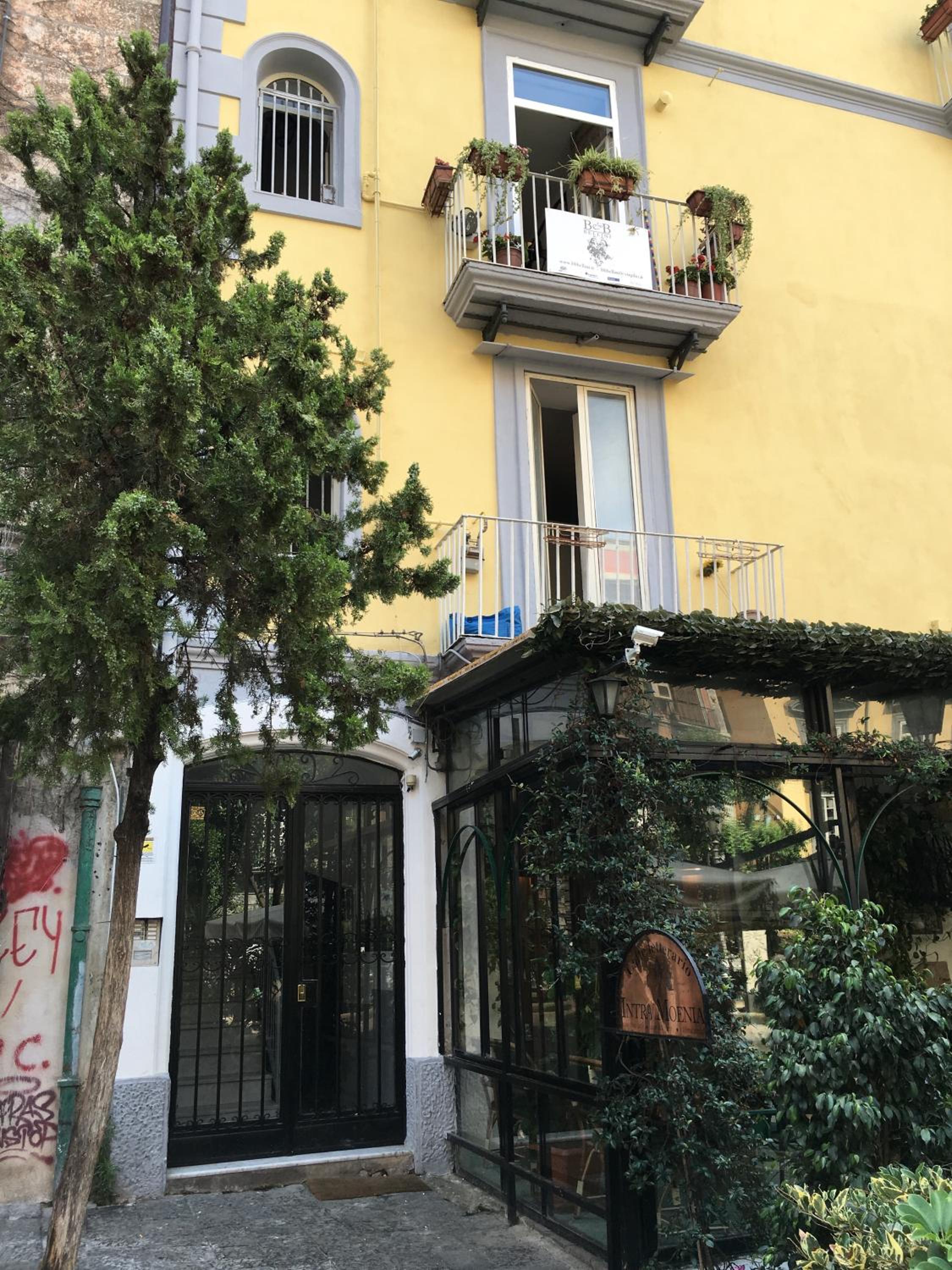 B&B Bellini