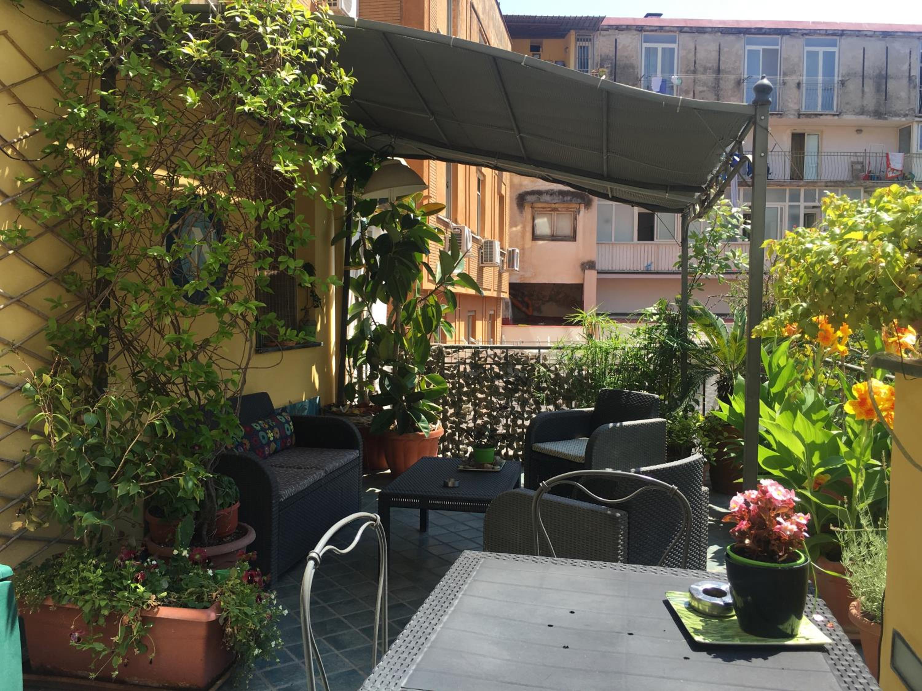 B&B Bellini