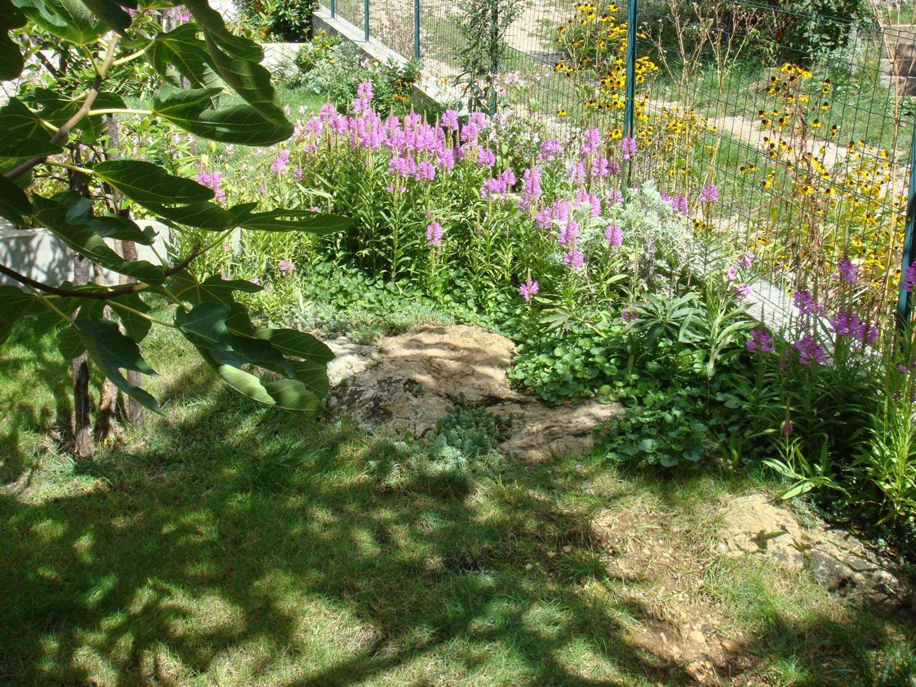 Photo 33