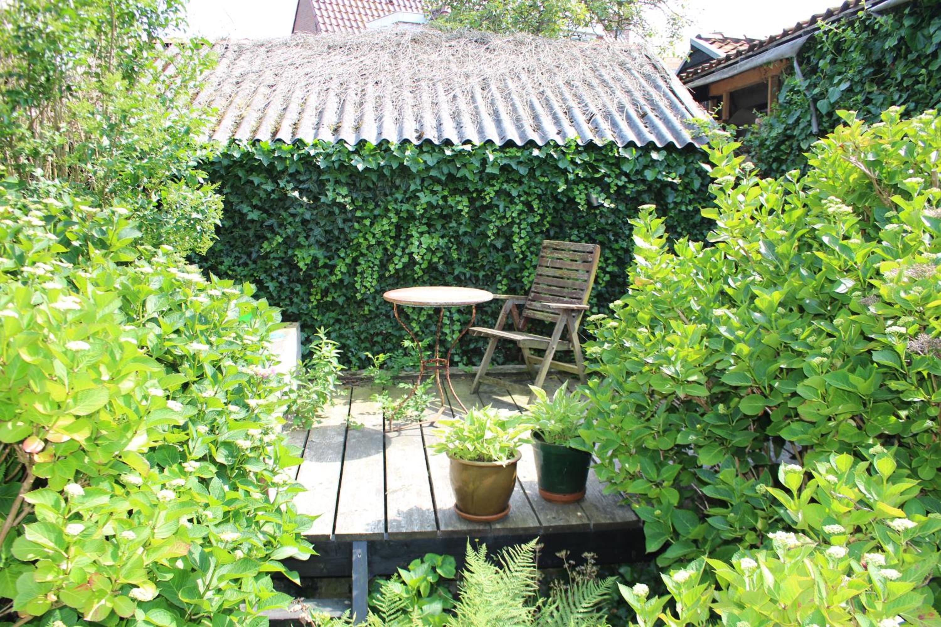 Photo 12