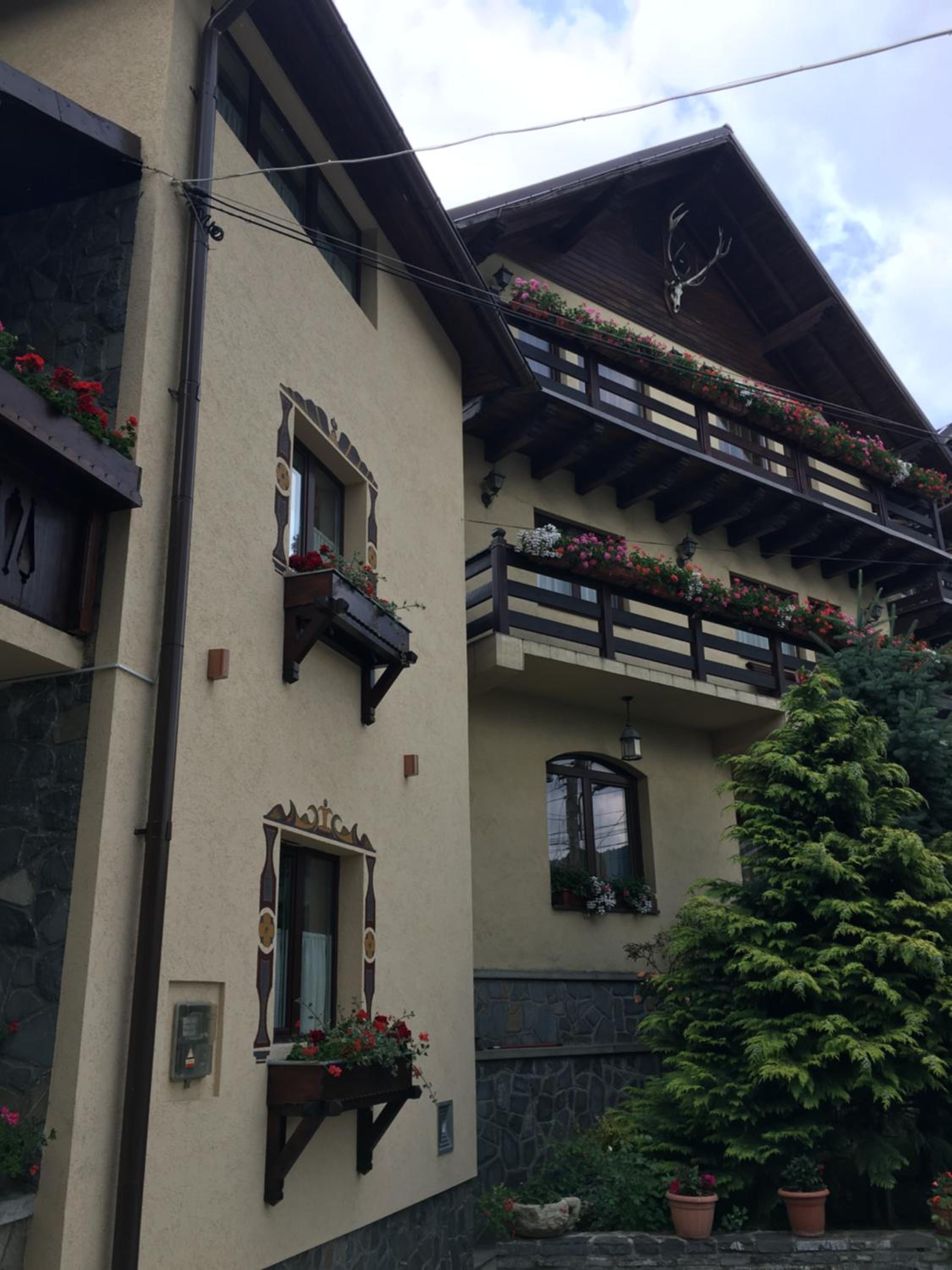 Pension Casa Ali & Andu view 4