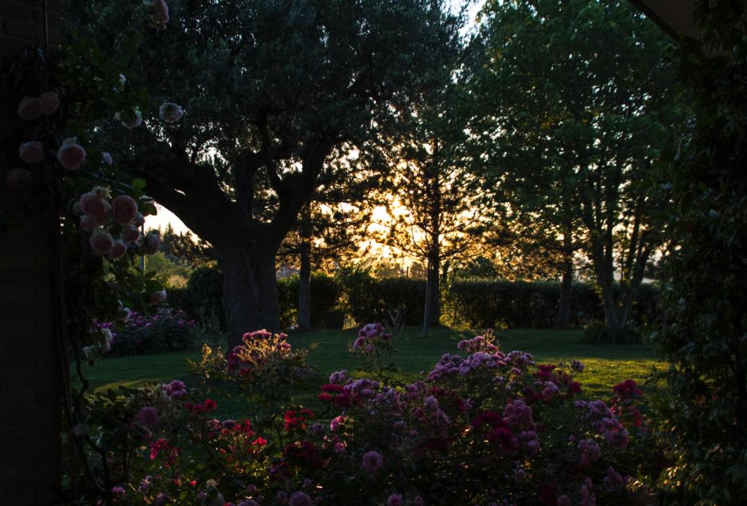 Il Giardino delle Rose view 5