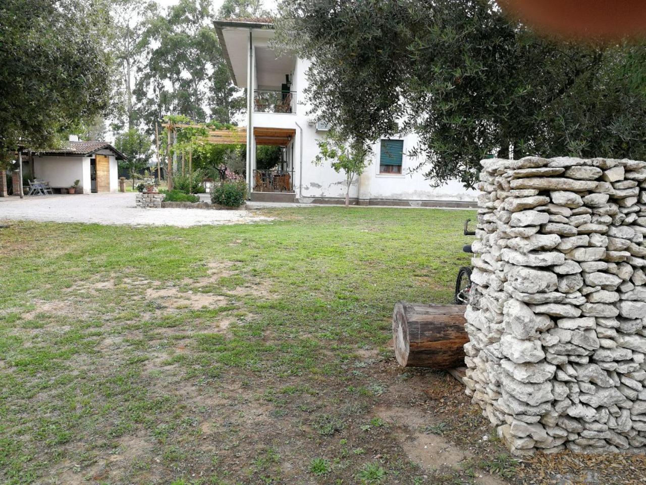 Photo 36
