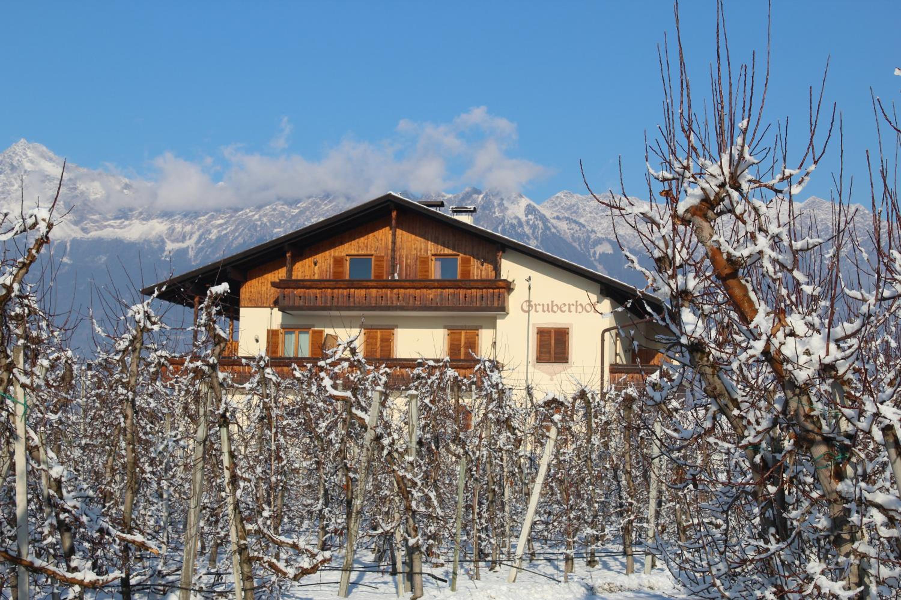 Gruberhof view 4