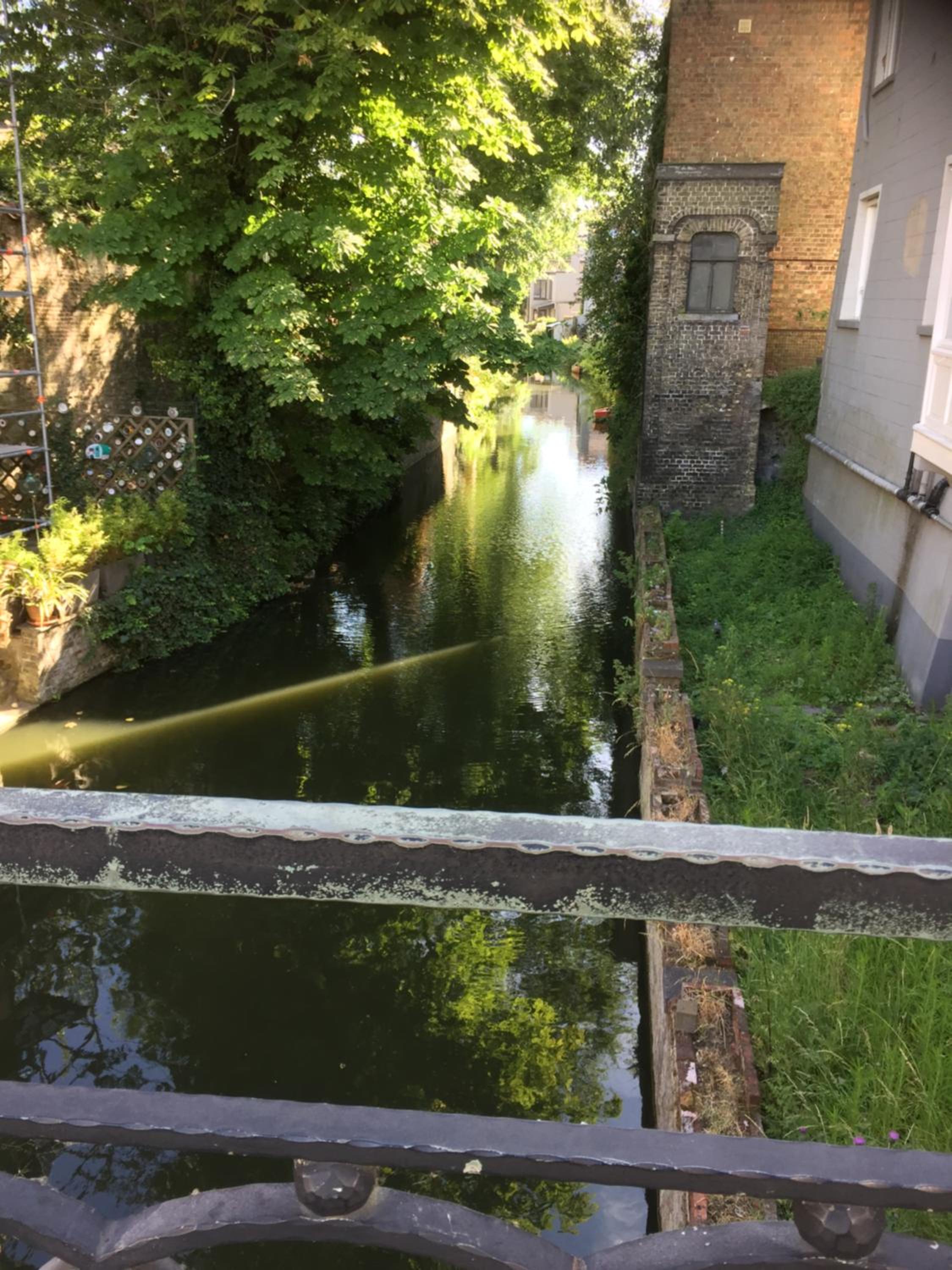 Guesthouse Vlamynckpoort