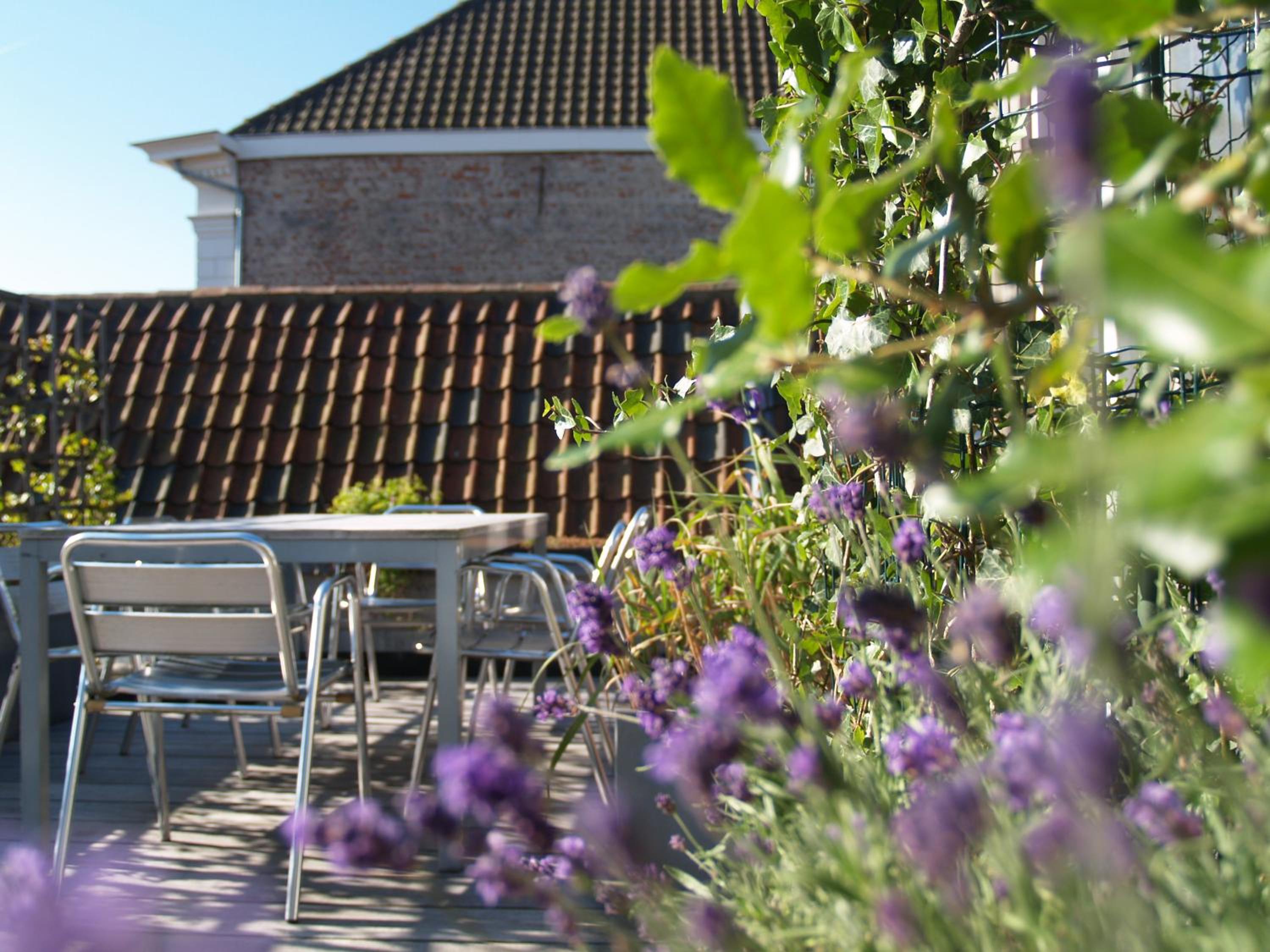 Guesthouse Vlamynckpoort