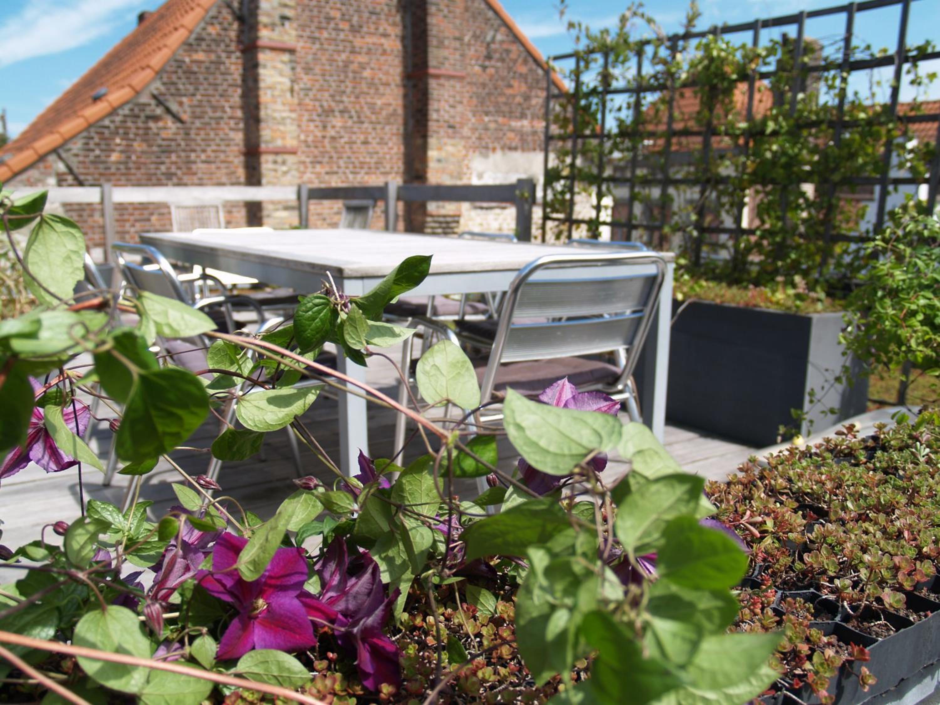 Guesthouse Vlamynckpoort