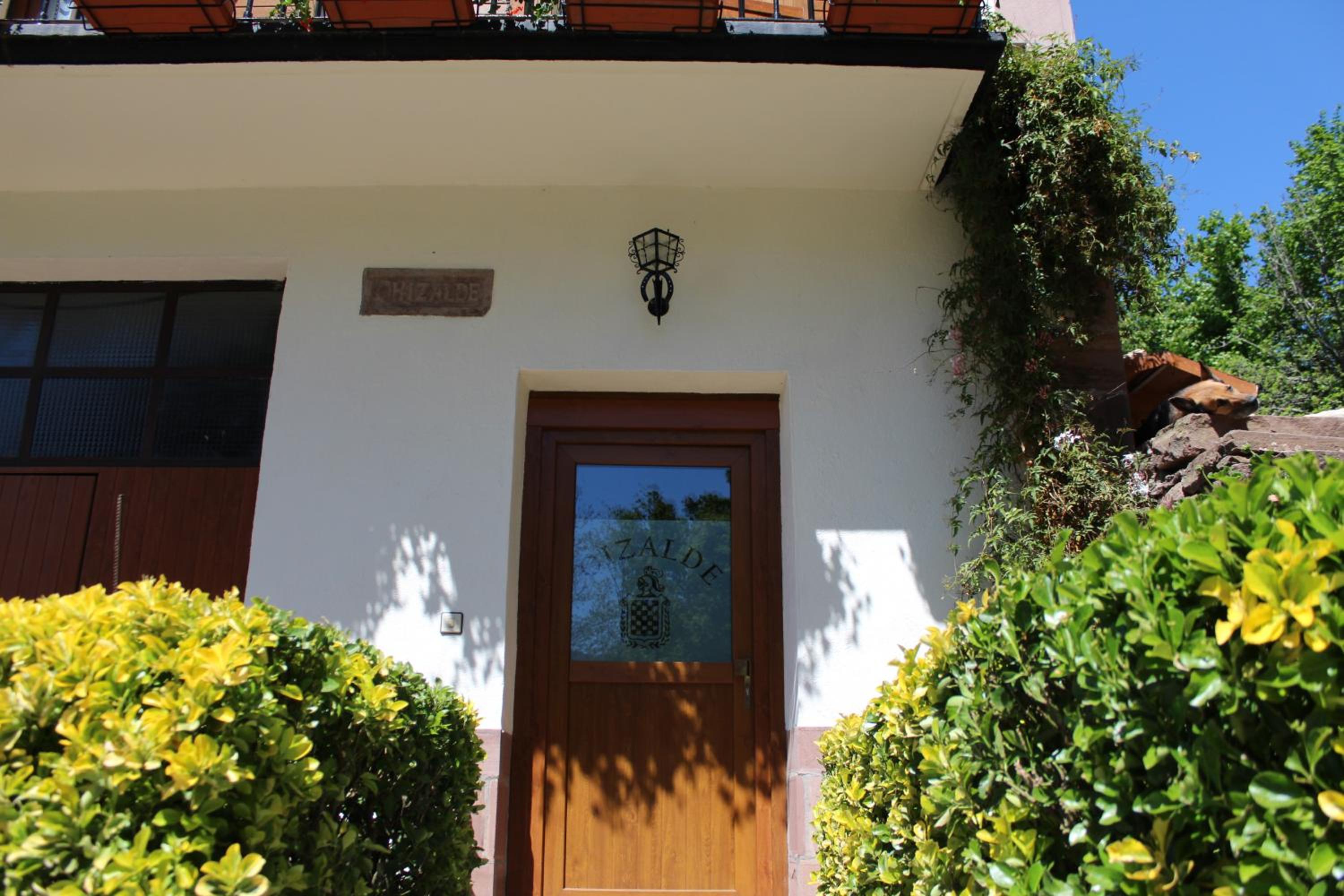Photo 11