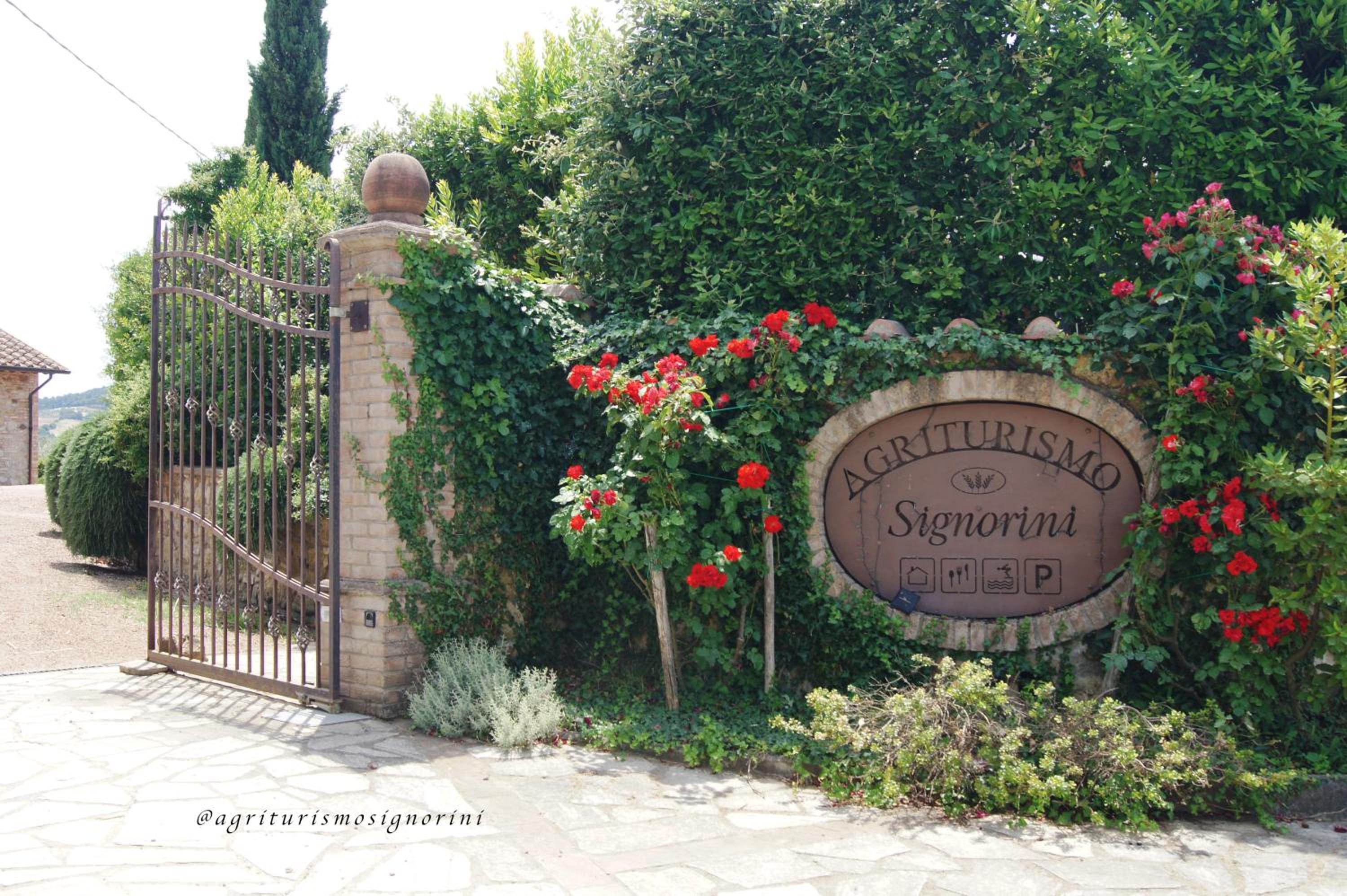 Agriturismo Signorini