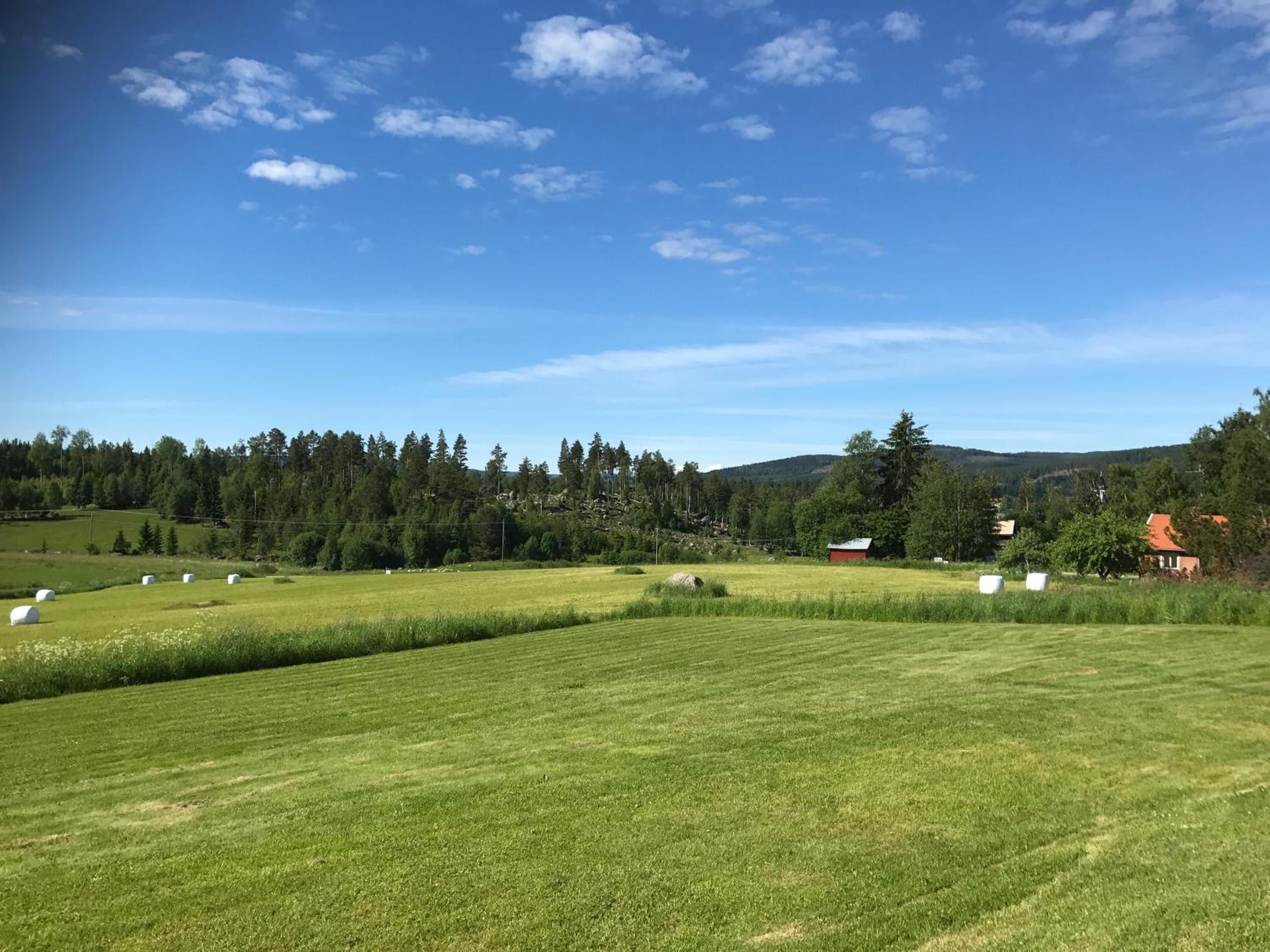 Helsingegården