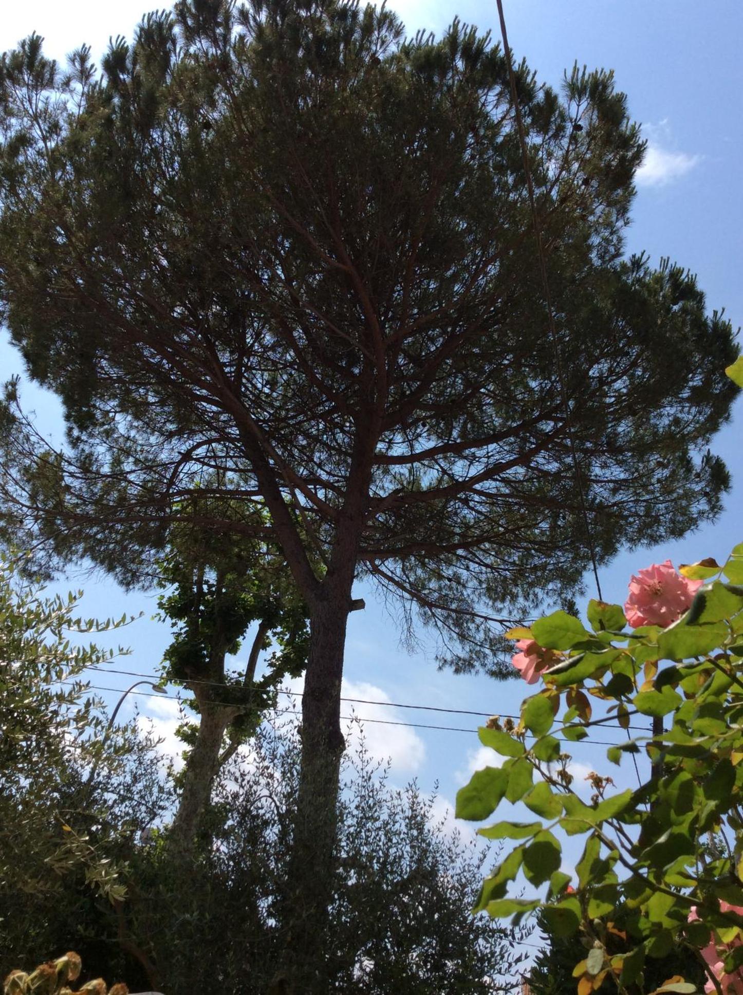 Photo 47